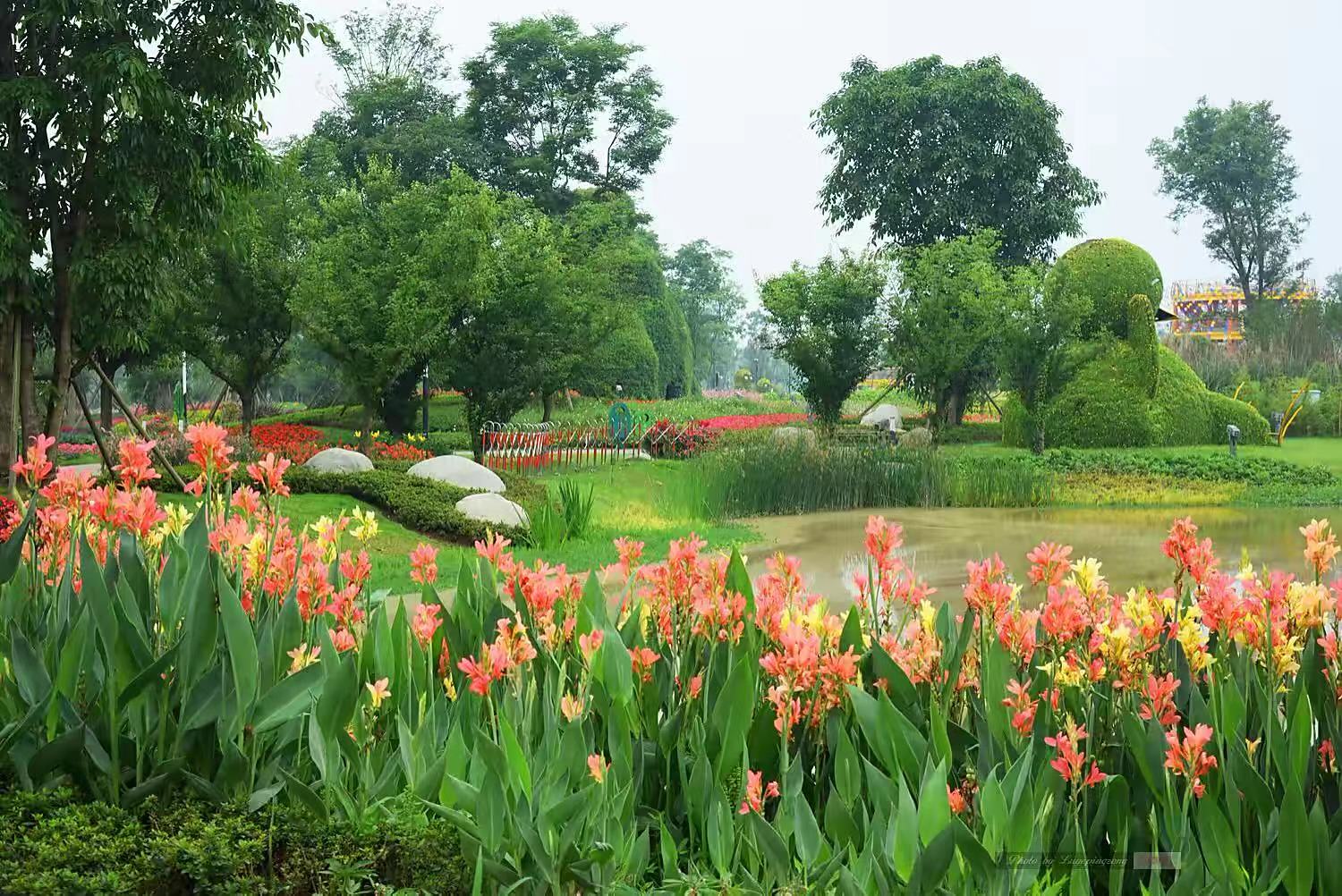 成都安仁花卉公园简介图片