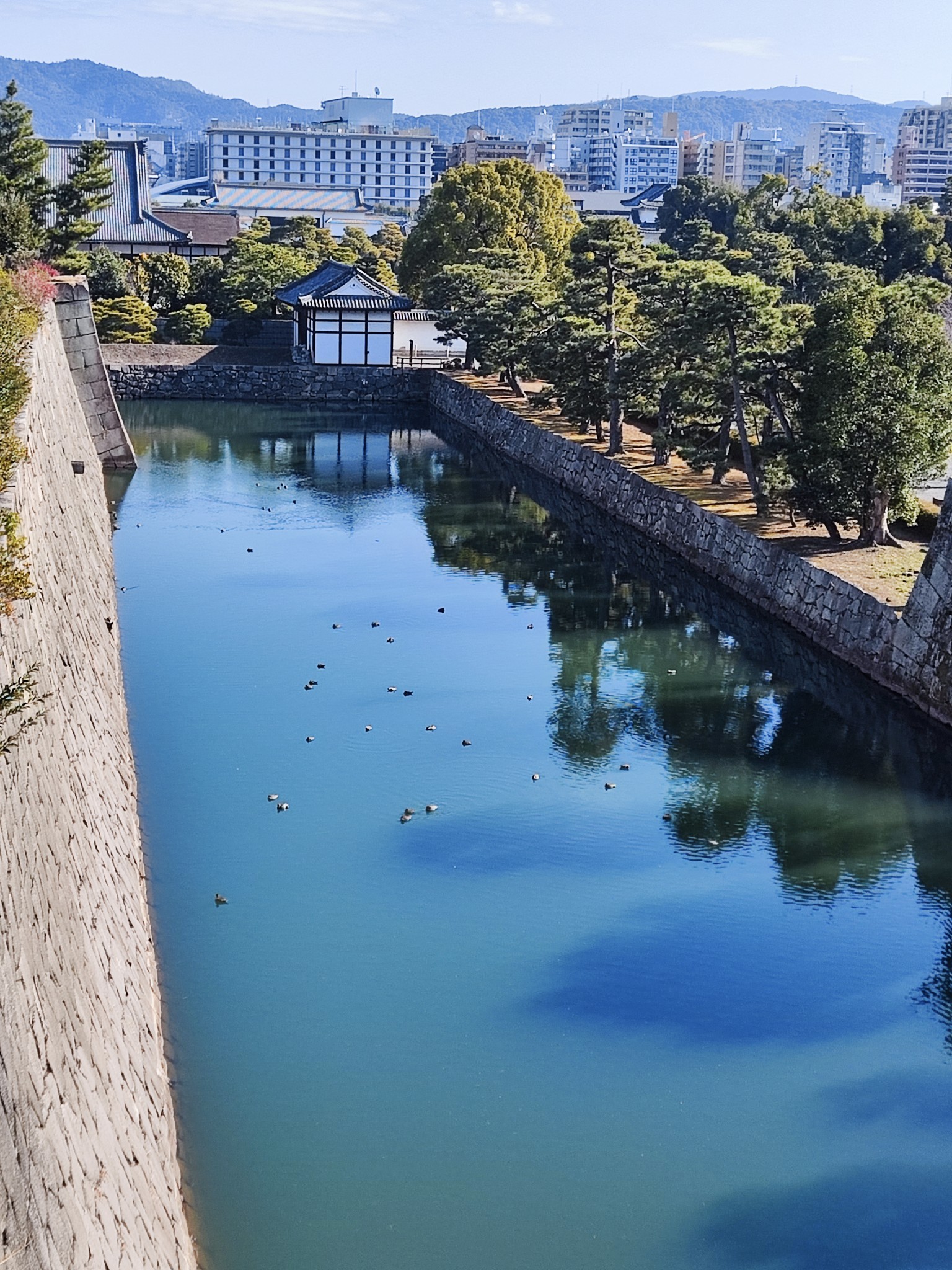 京都自助遊攻略