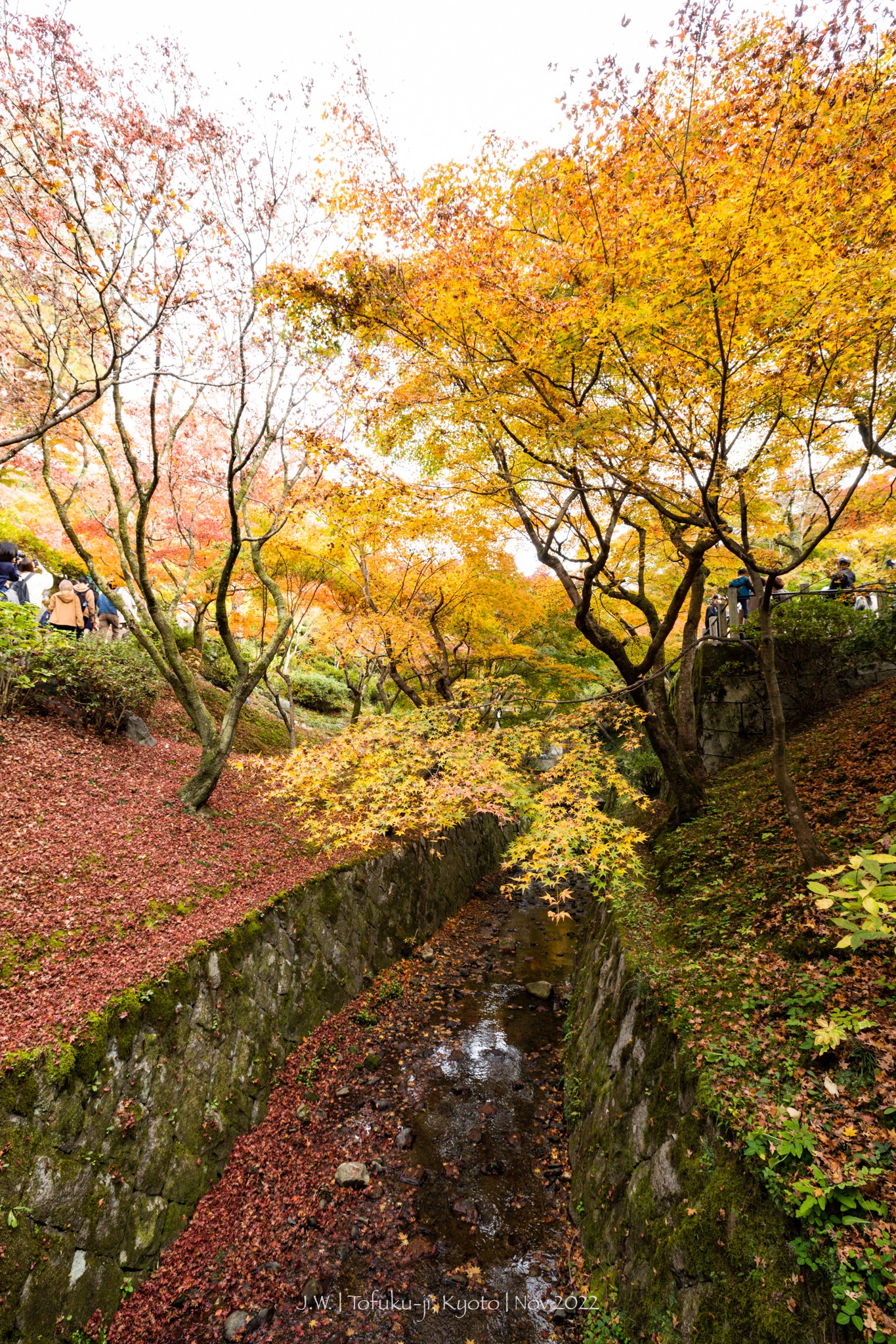 京都自助遊攻略