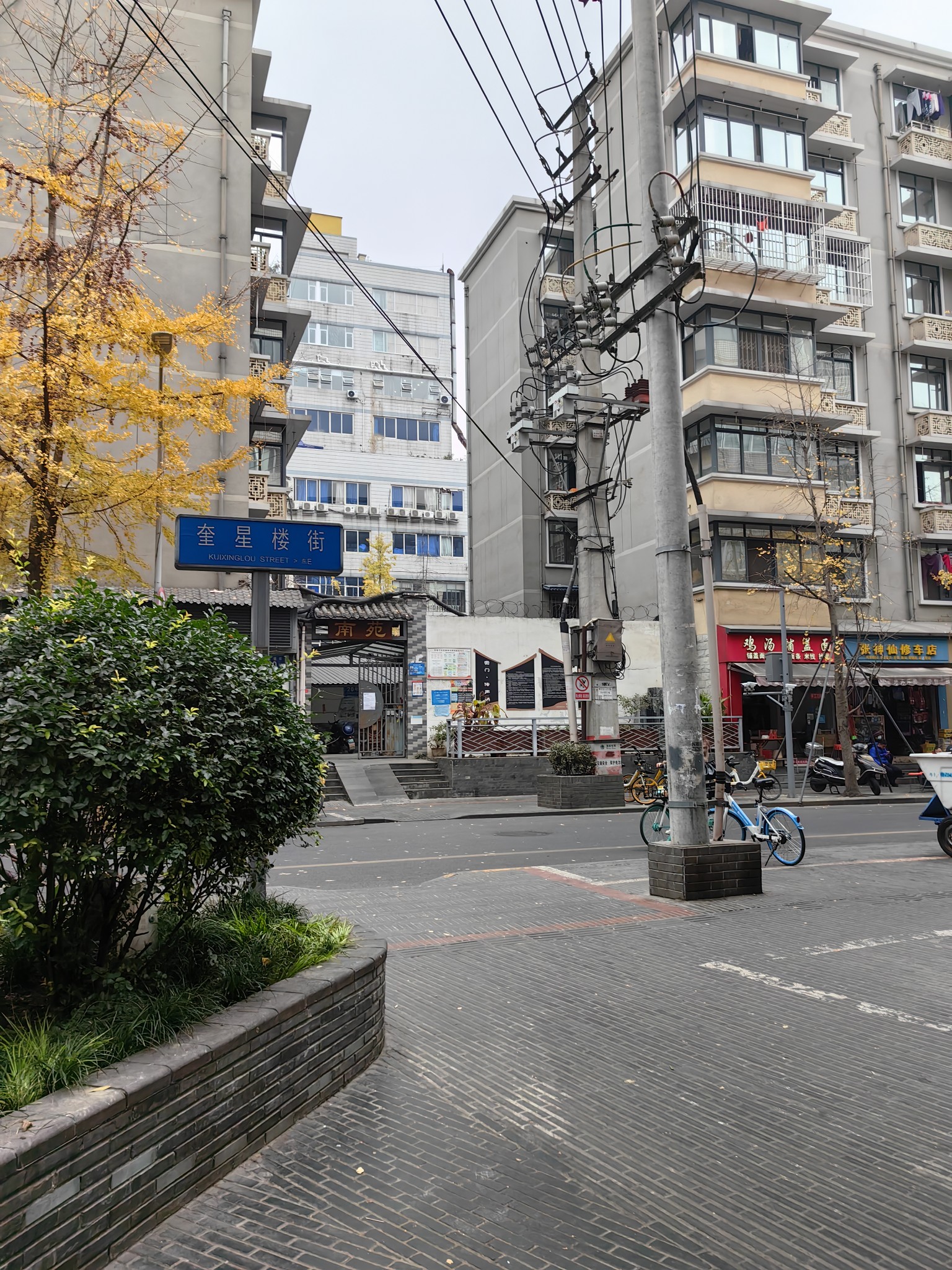 成都大熊猫繁育研究基地成都春熙路亚朵酒店Ⅱ 熊猫基地-宽窄巷子-奎