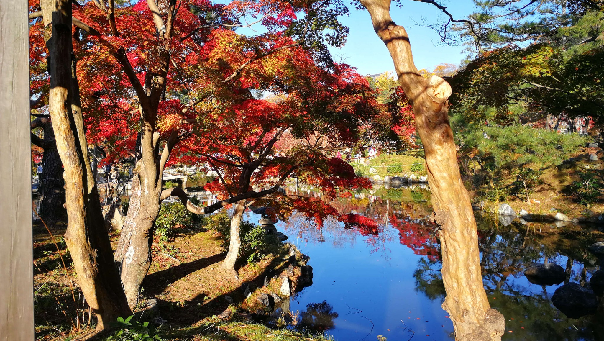 京都圆山公园图片