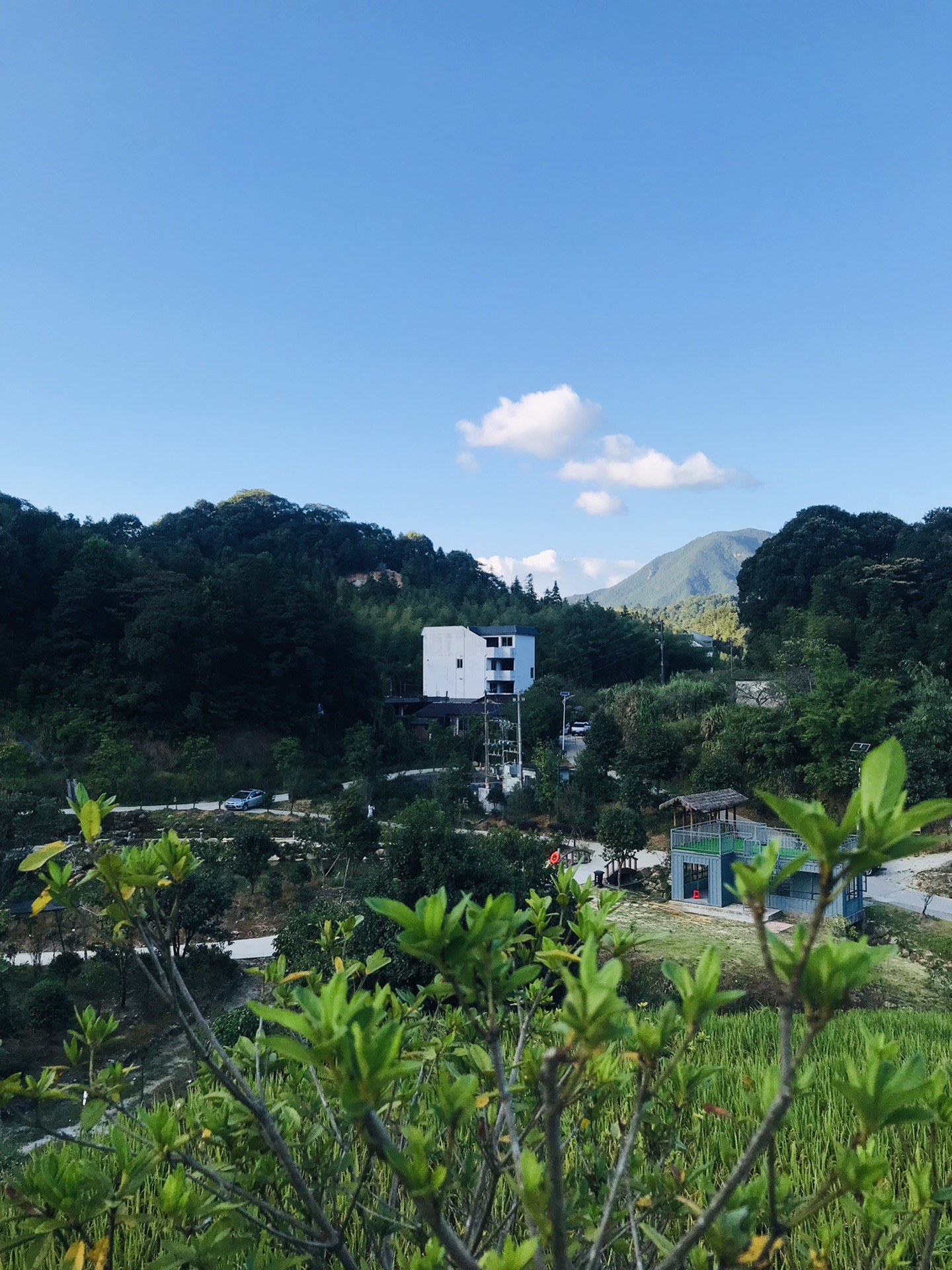 广州从化区阿婆六茶花谷,千泷沟大瀑布