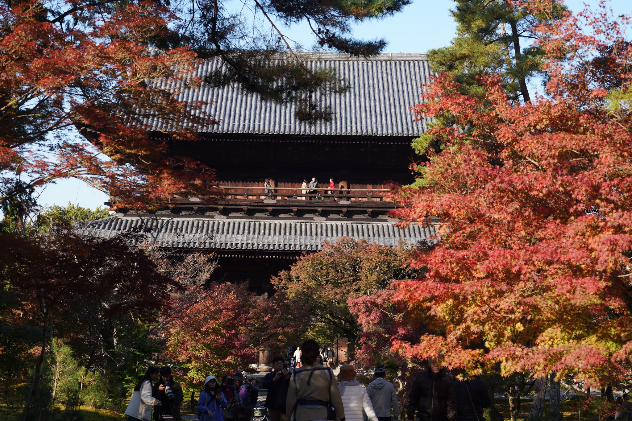 京都自助遊攻略