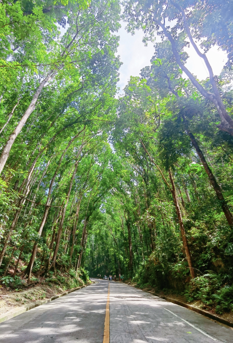 薄荷島自助遊攻略