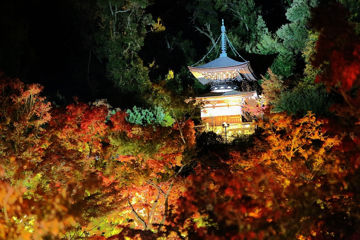 京都自助遊攻略