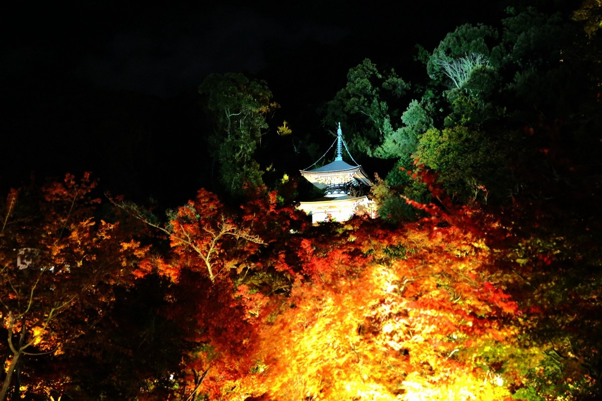 京都自助遊攻略