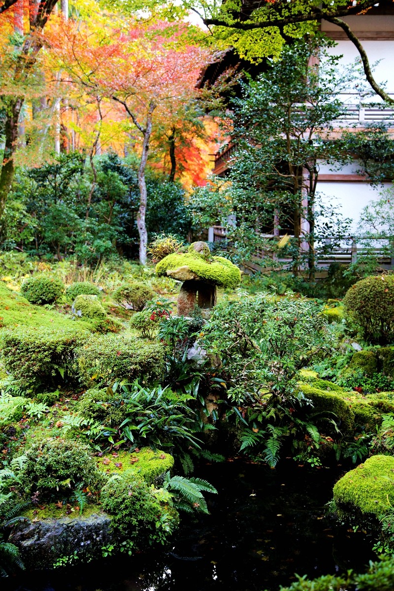 京都自助遊攻略