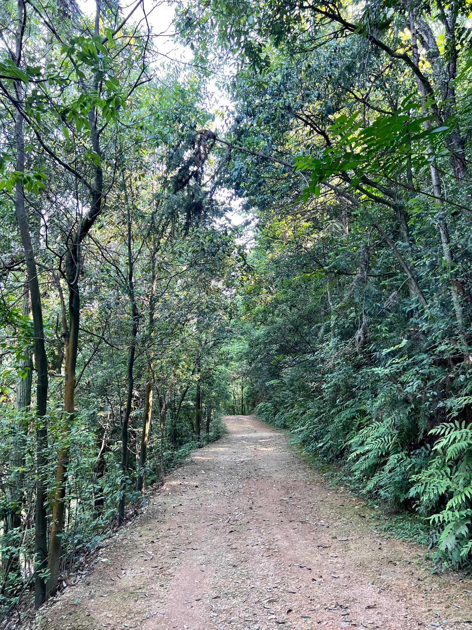 南陵千山水库图片