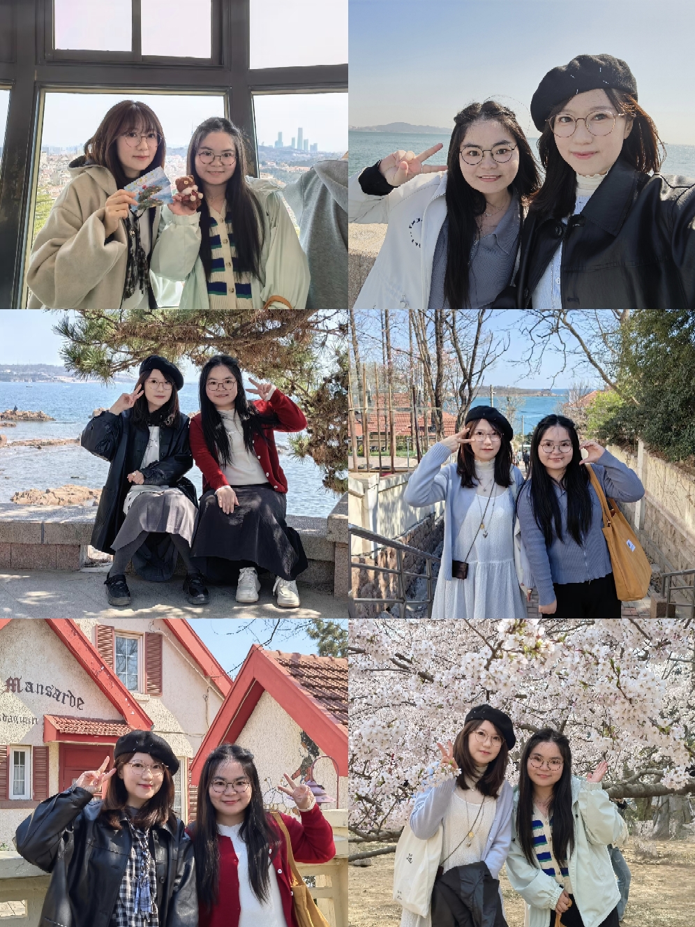 【青岛春日暴走日志】四天三夜：💨吹成海带的我们，与樱花撞个满怀🌸插图