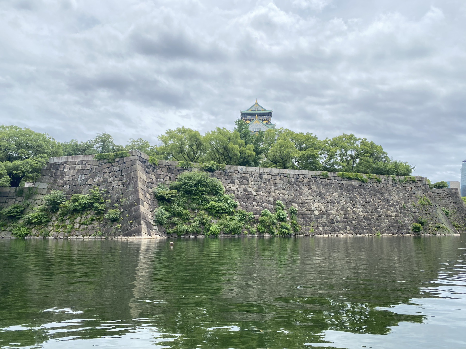 京都自助遊攻略