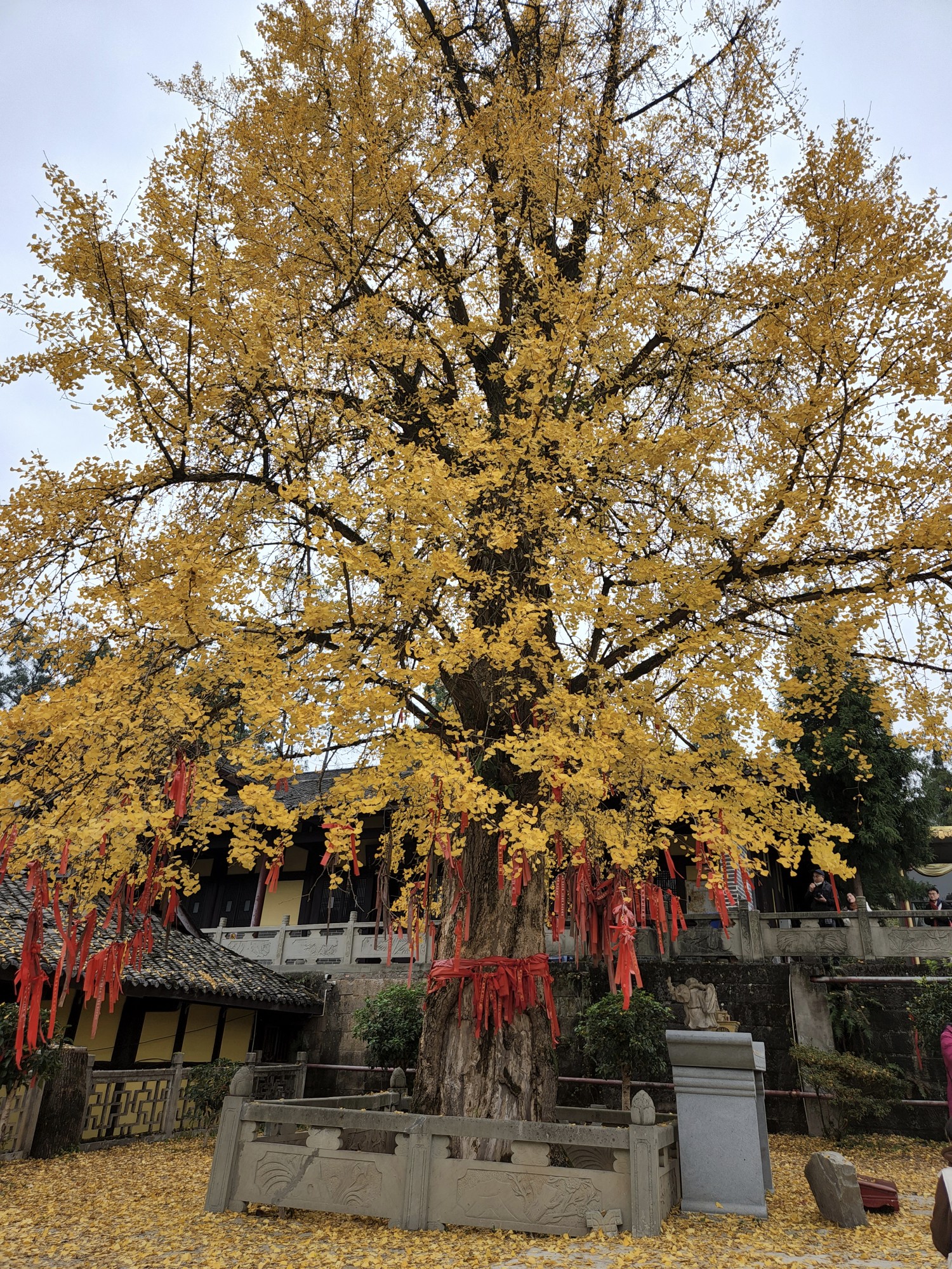 重庆天心寺图片图片