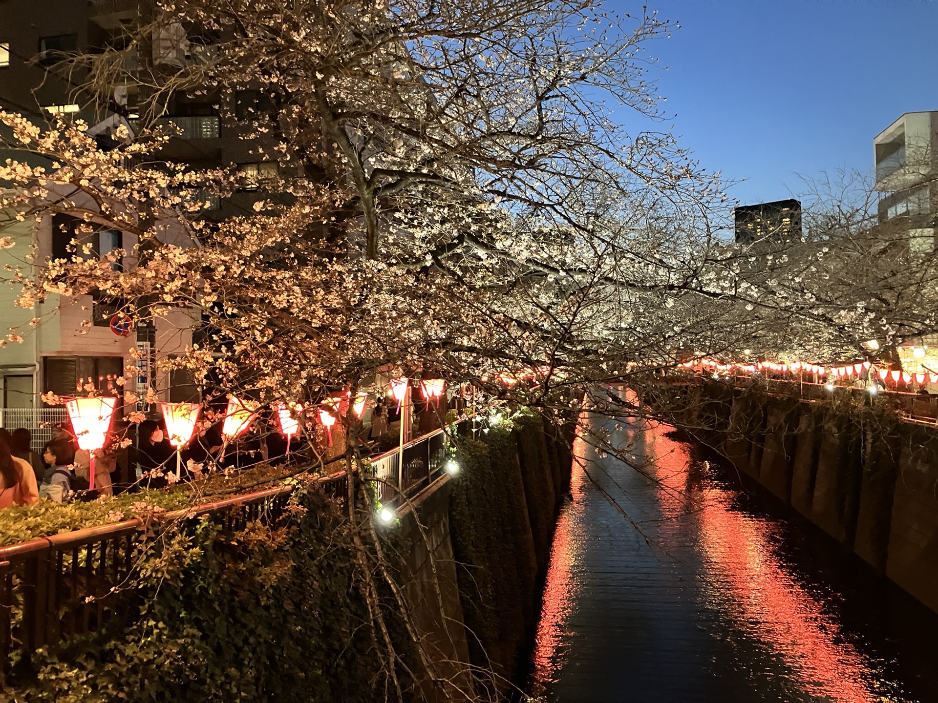 東京自助遊攻略