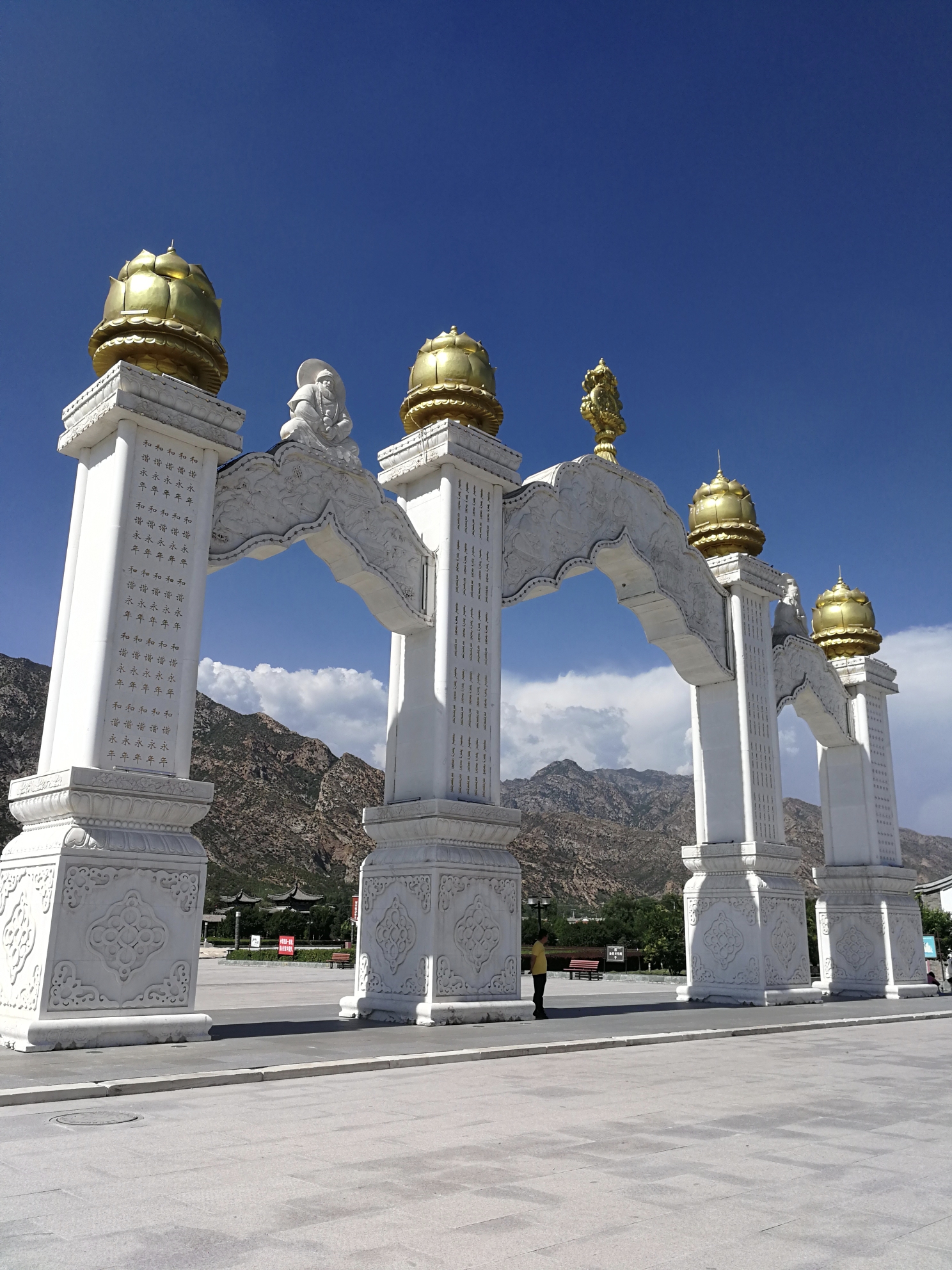 土默特右旗 马蜂窝