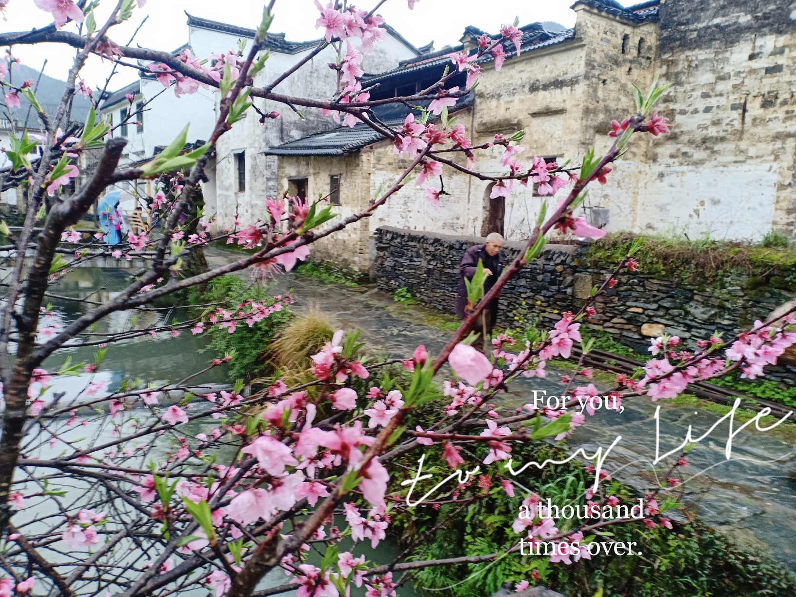 婺源二日游_江西婺源一日游_婺源一日游