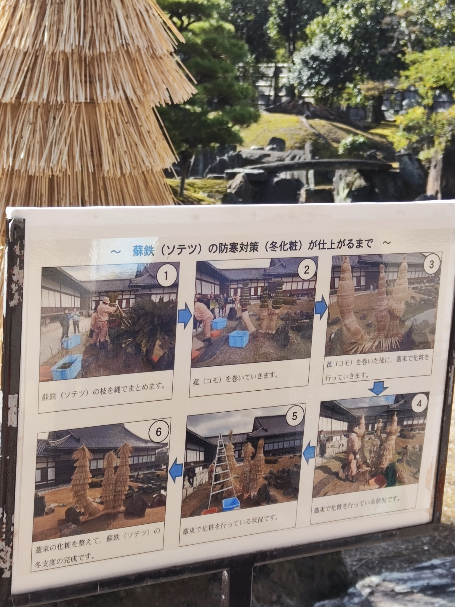 京都自助遊攻略