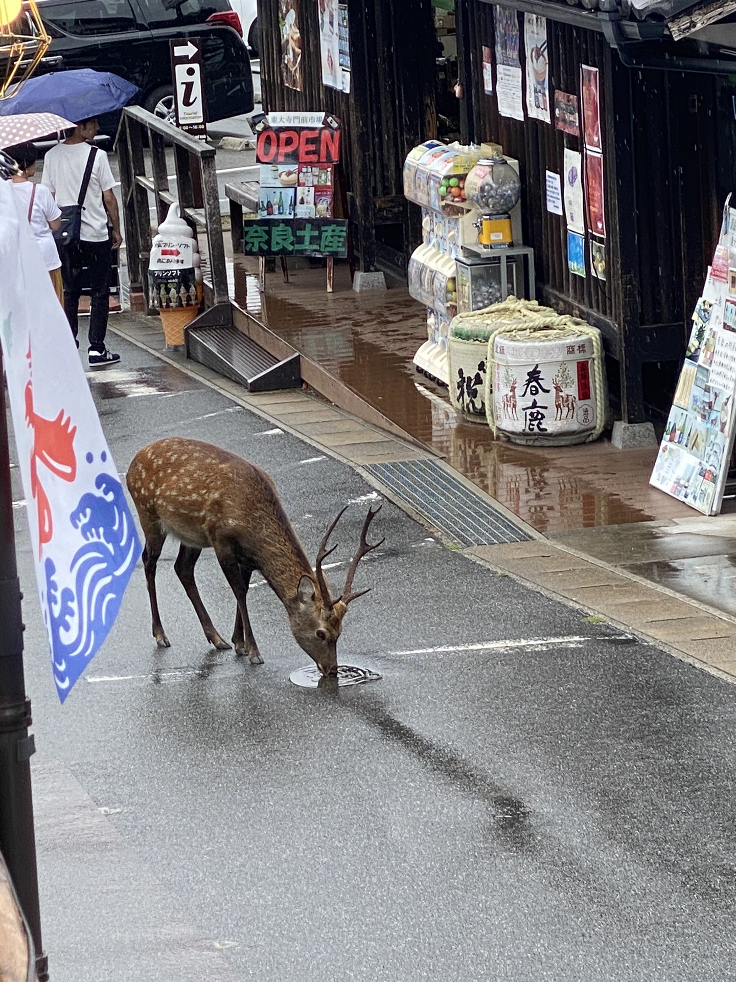 日本自助遊攻略