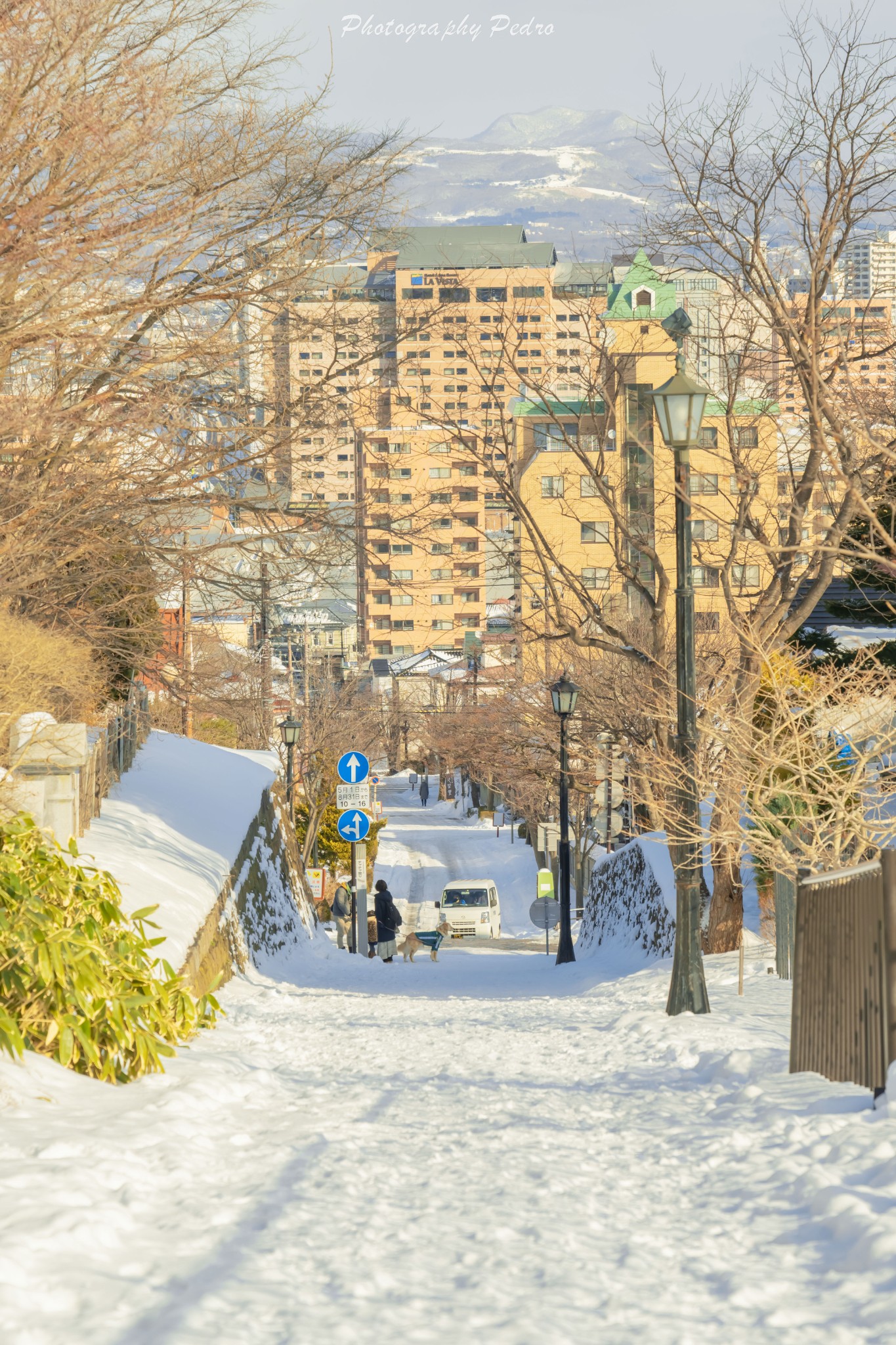 北海道自助遊攻略