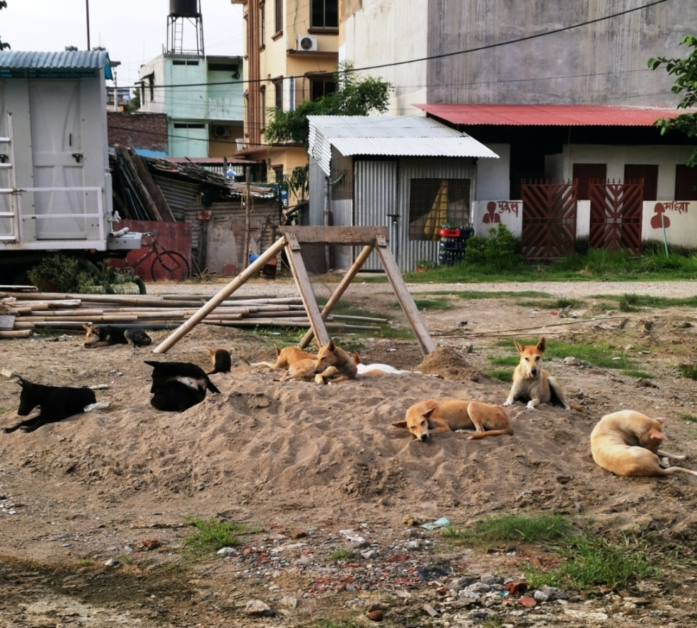 尼泊爾自助遊攻略