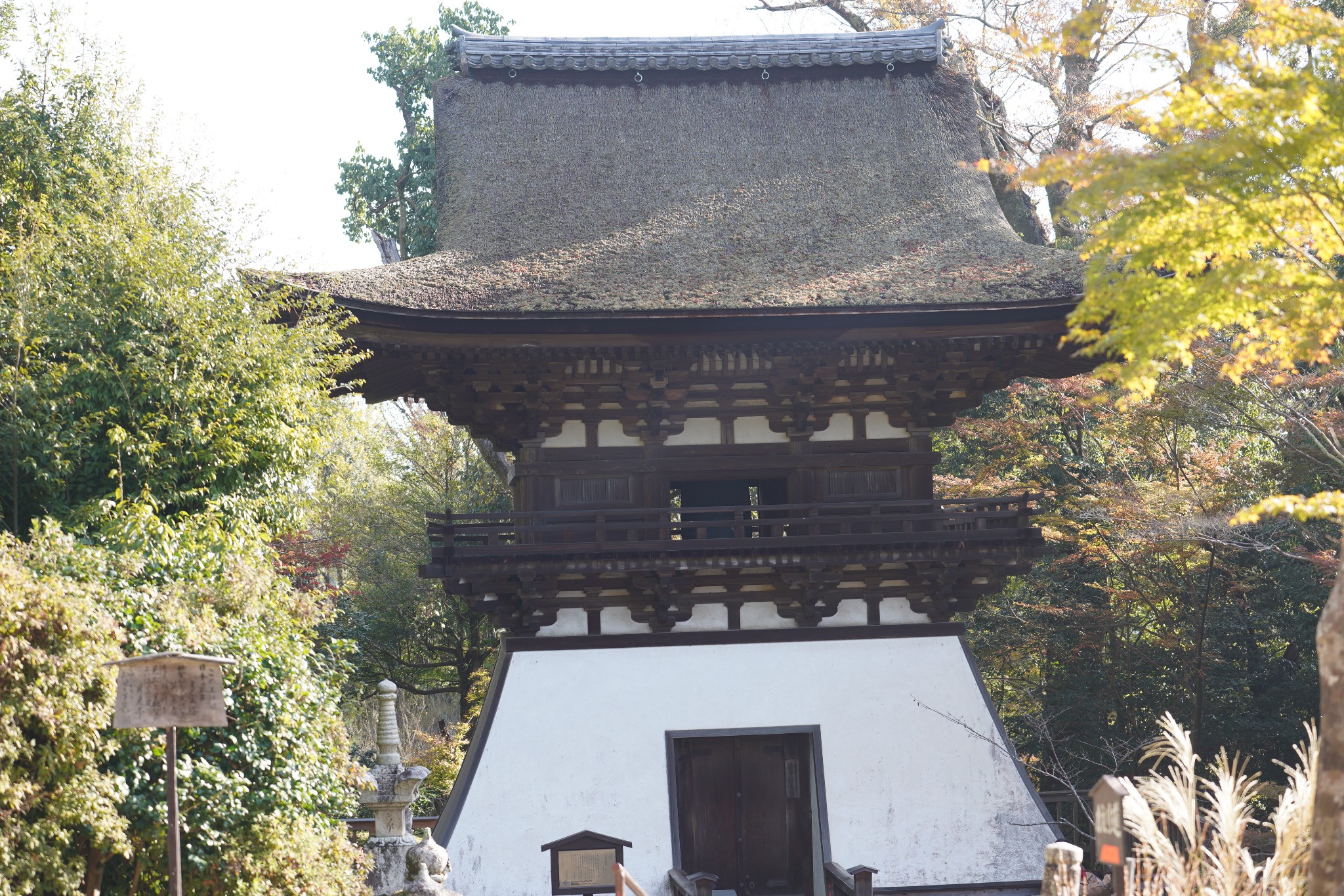 京都自助遊攻略