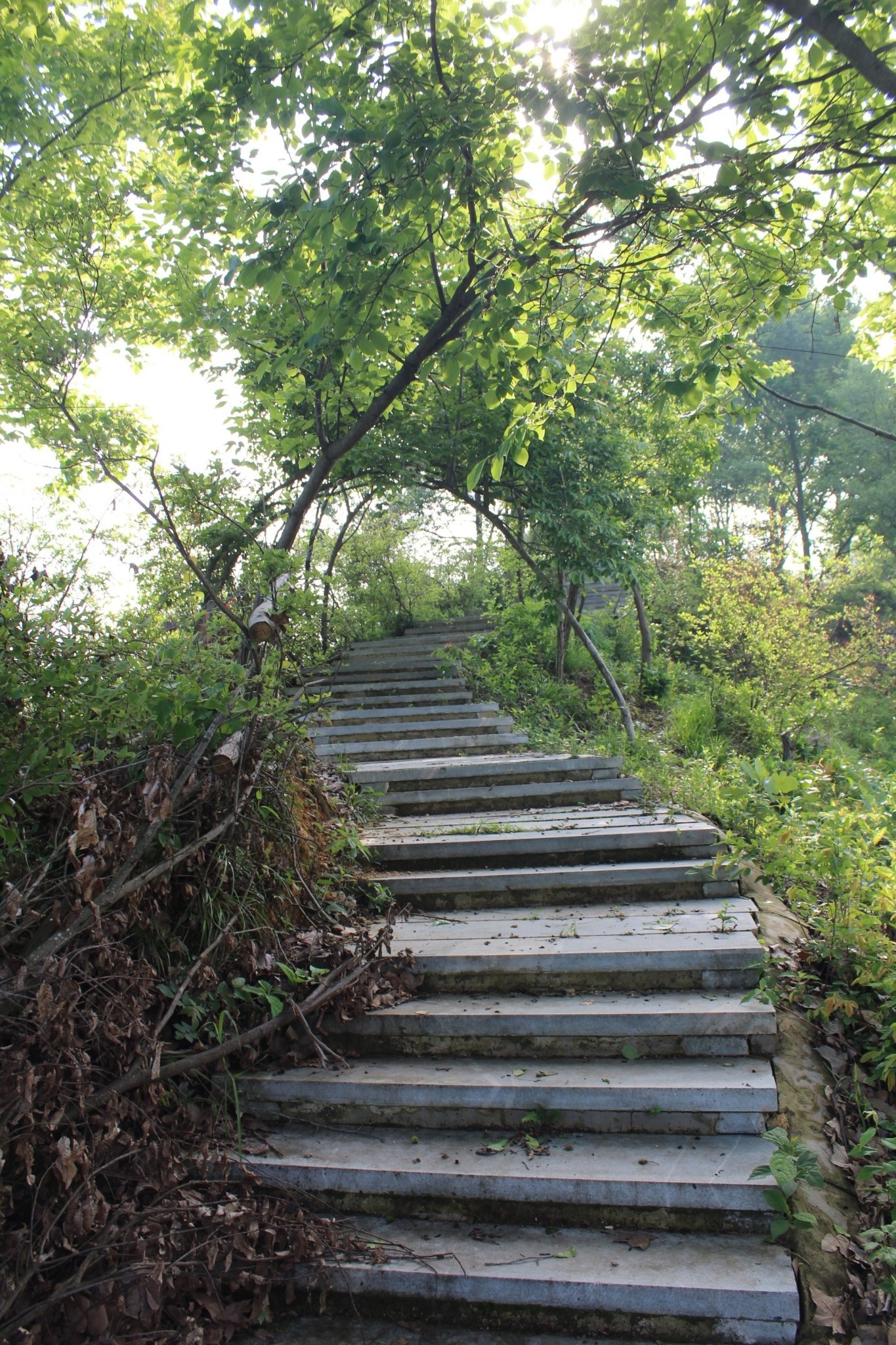 英山羊角尖山客游之一百五十七