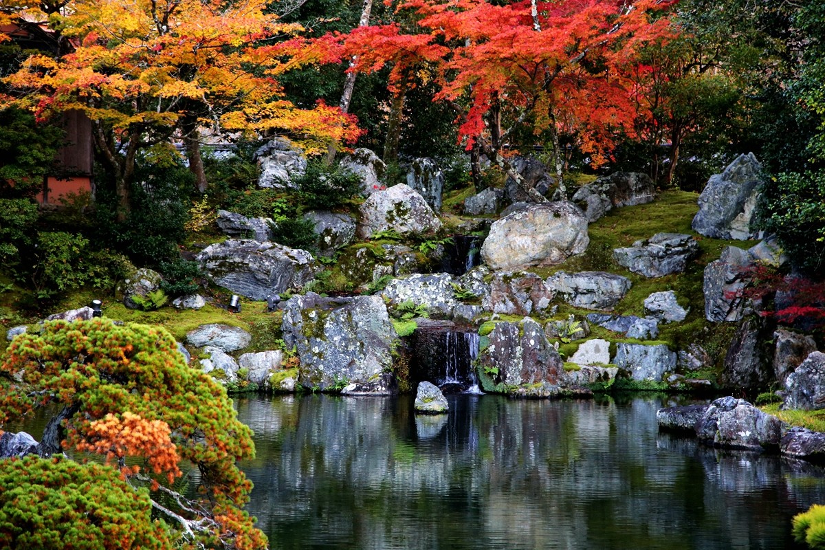 京都自助遊攻略