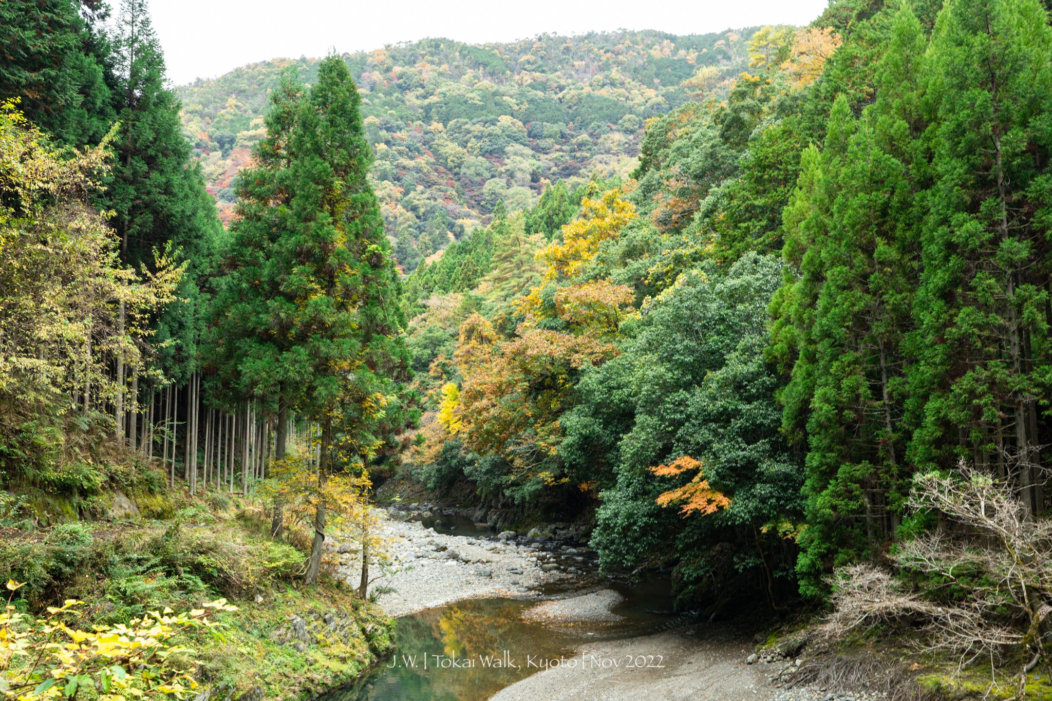 京都自助遊攻略