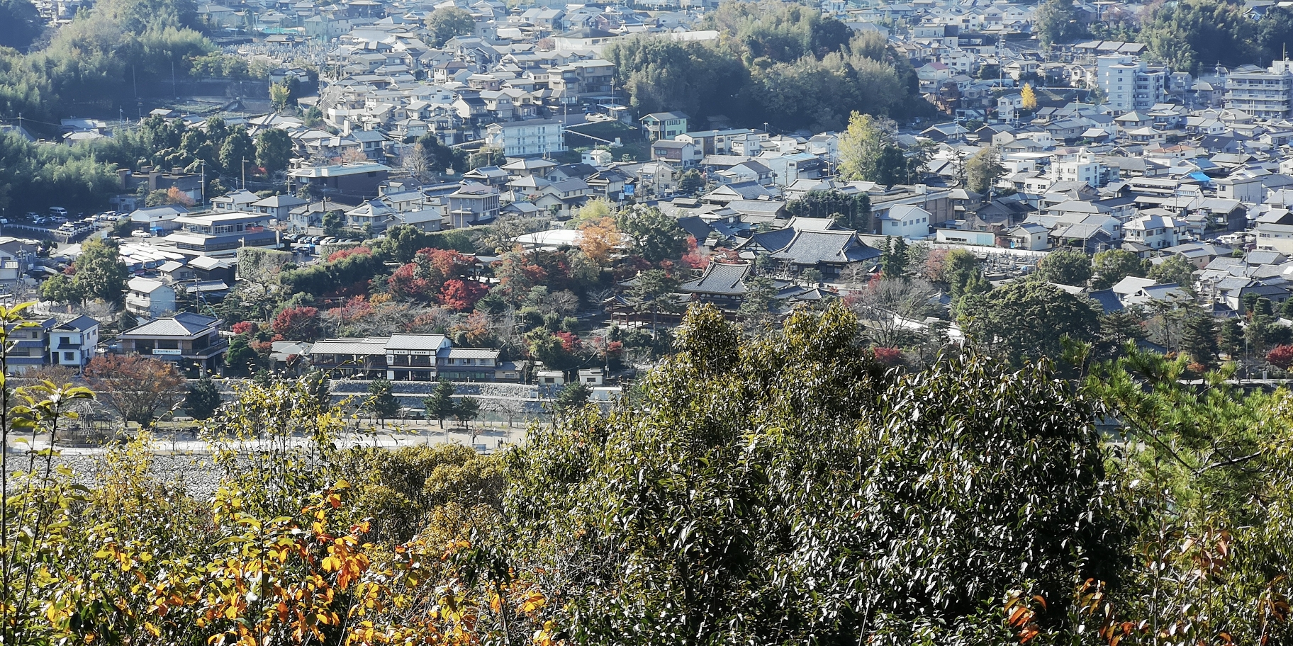 京都自助遊攻略