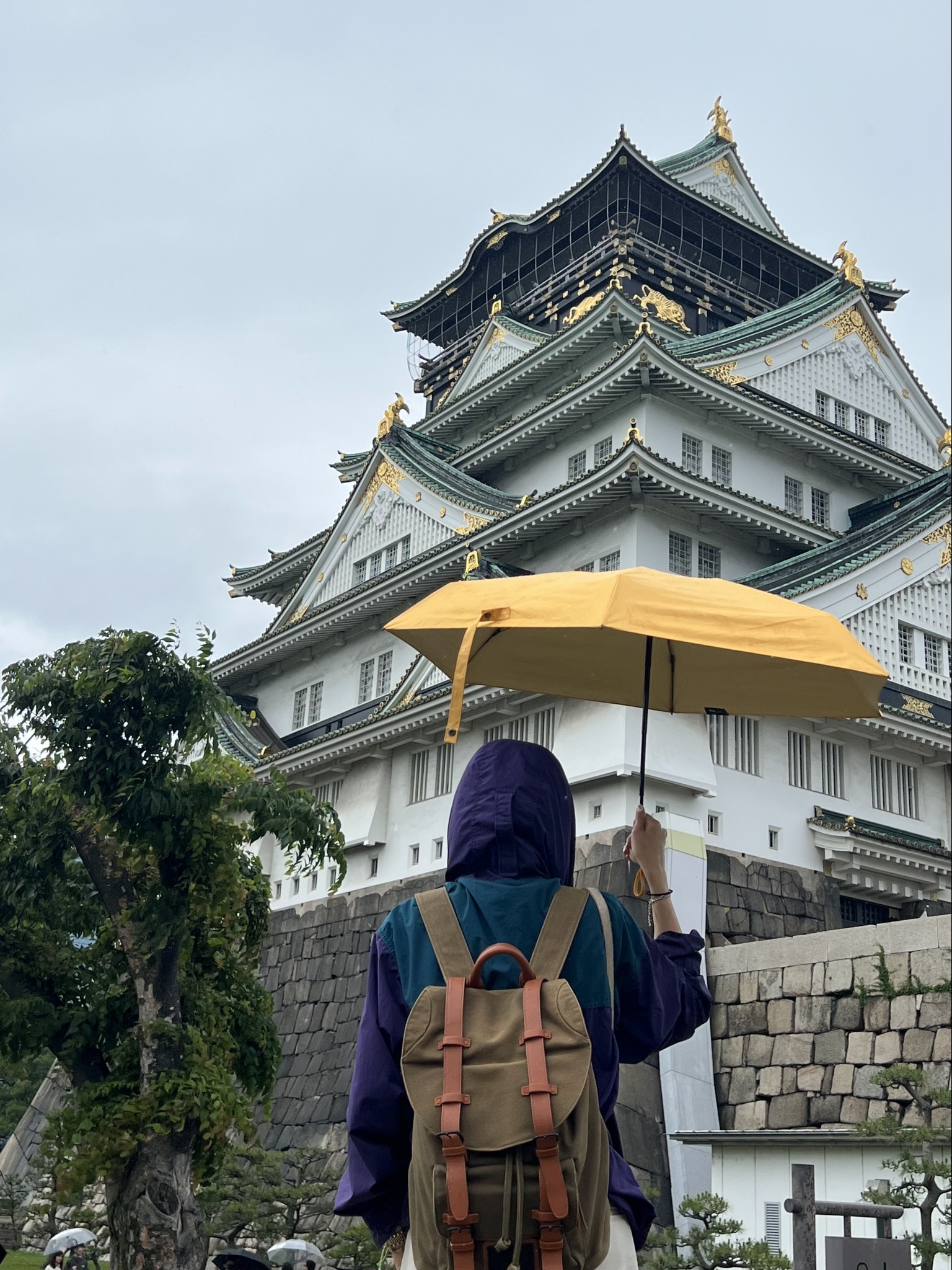 京都自助遊攻略