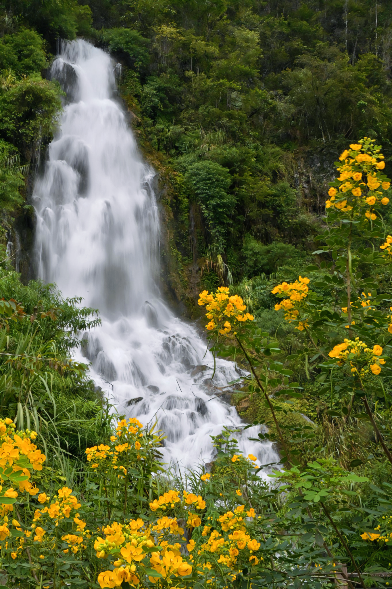 赴一场迟到两年的约会去贵州邂逅一百种绿色
