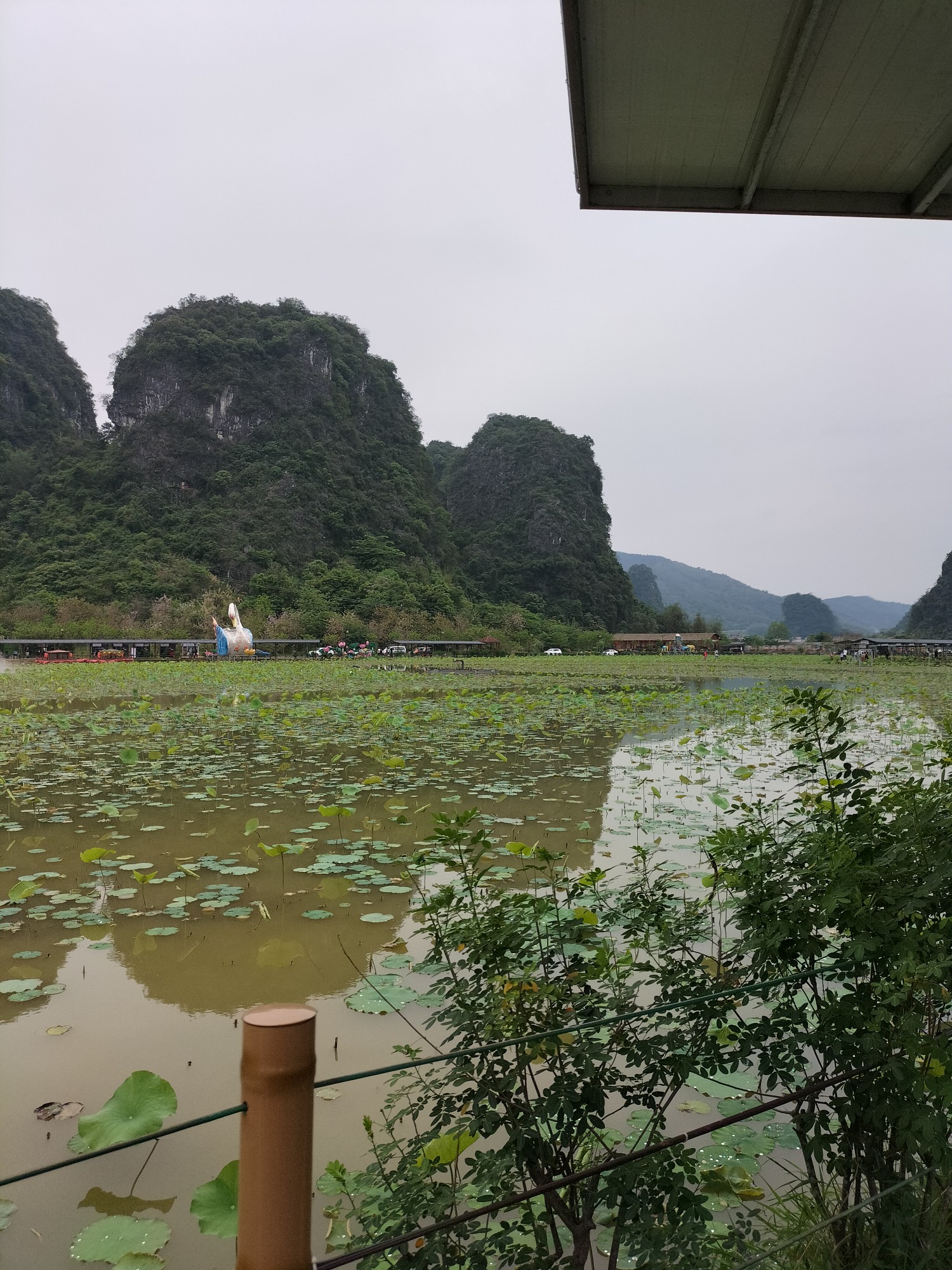 清远九龙峰林小镇游,清远自助游攻略 - 马蜂窝