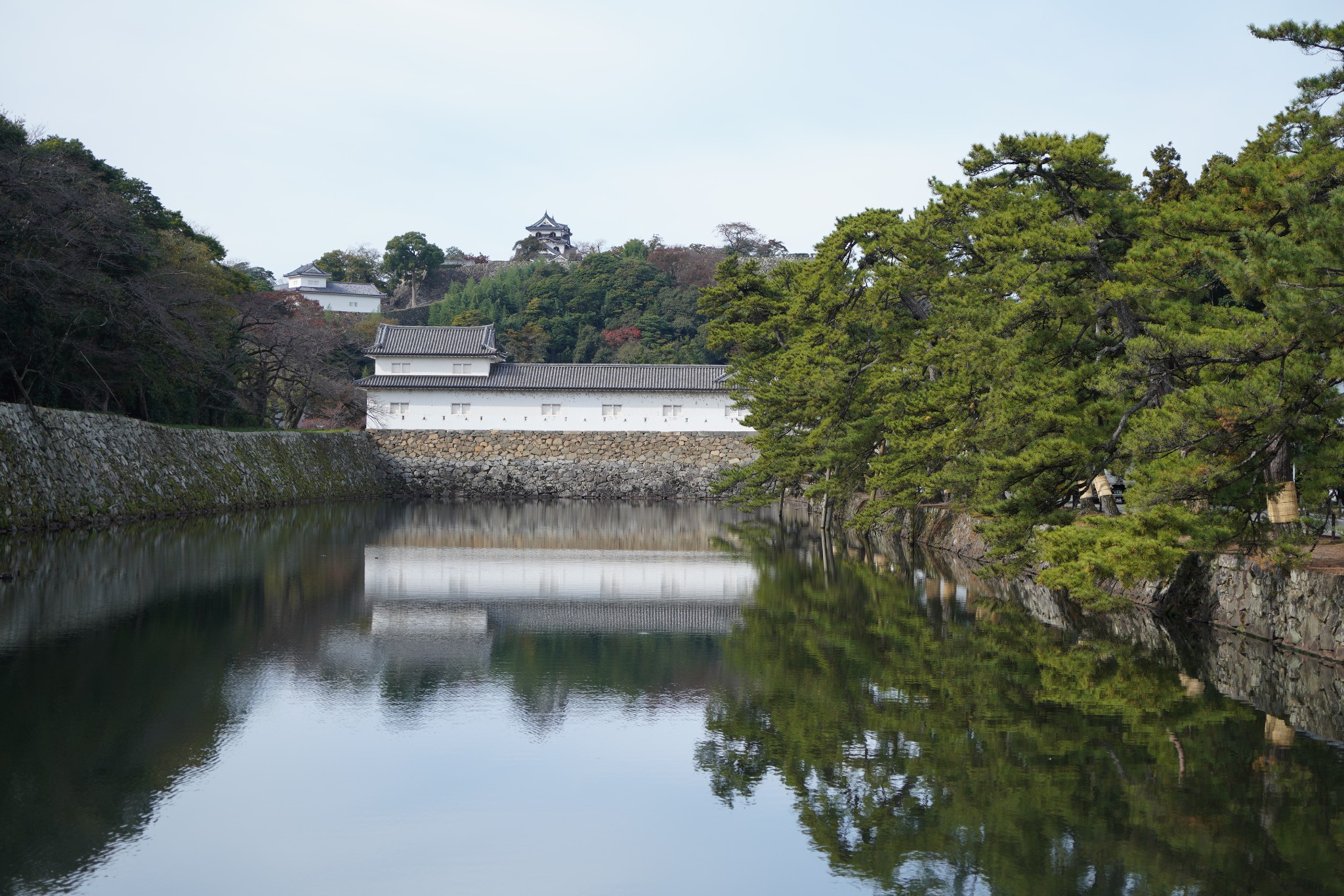 京都自助遊攻略