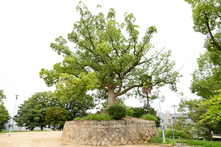 大阪自助遊攻略