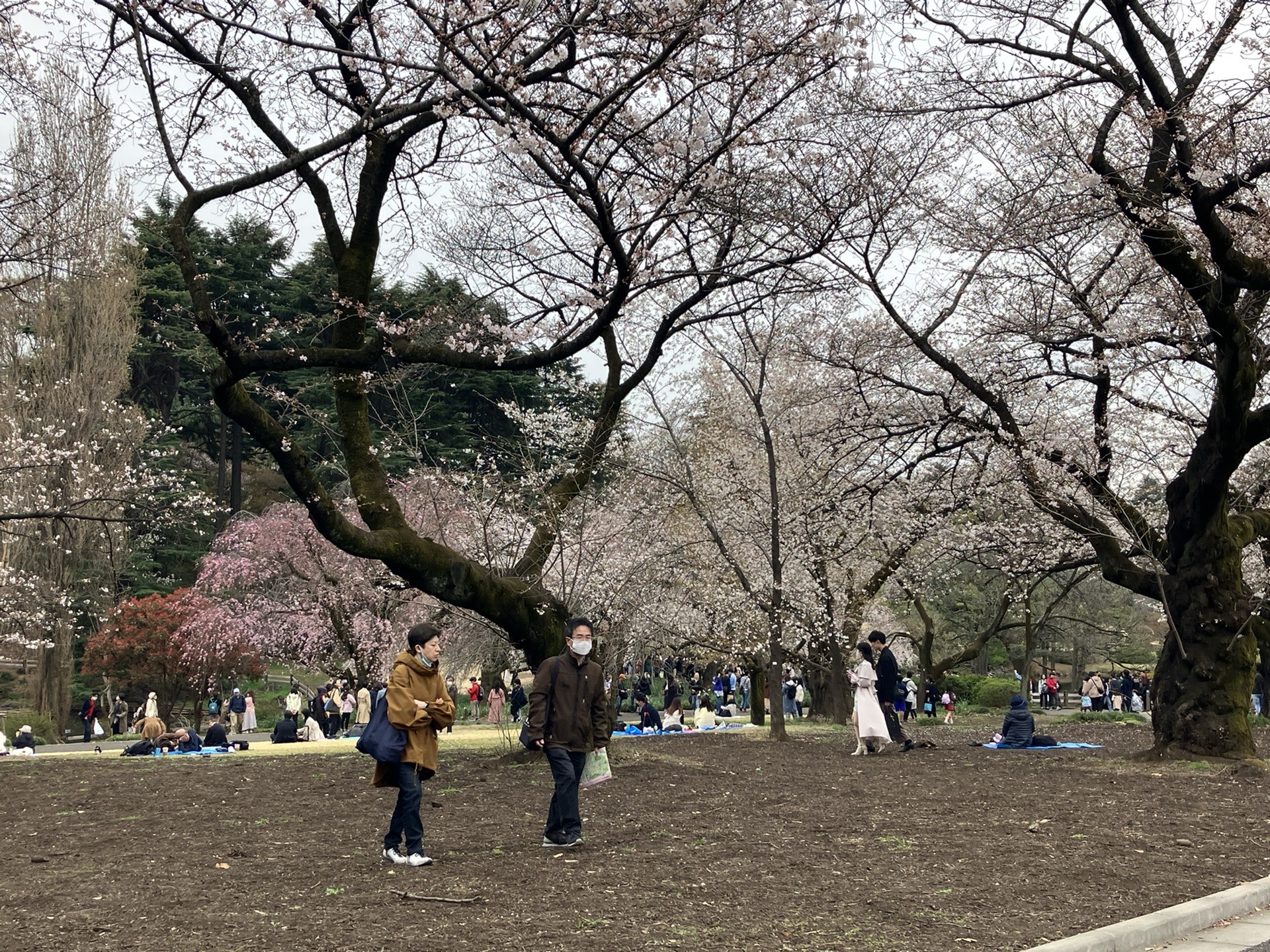 東京自助遊攻略