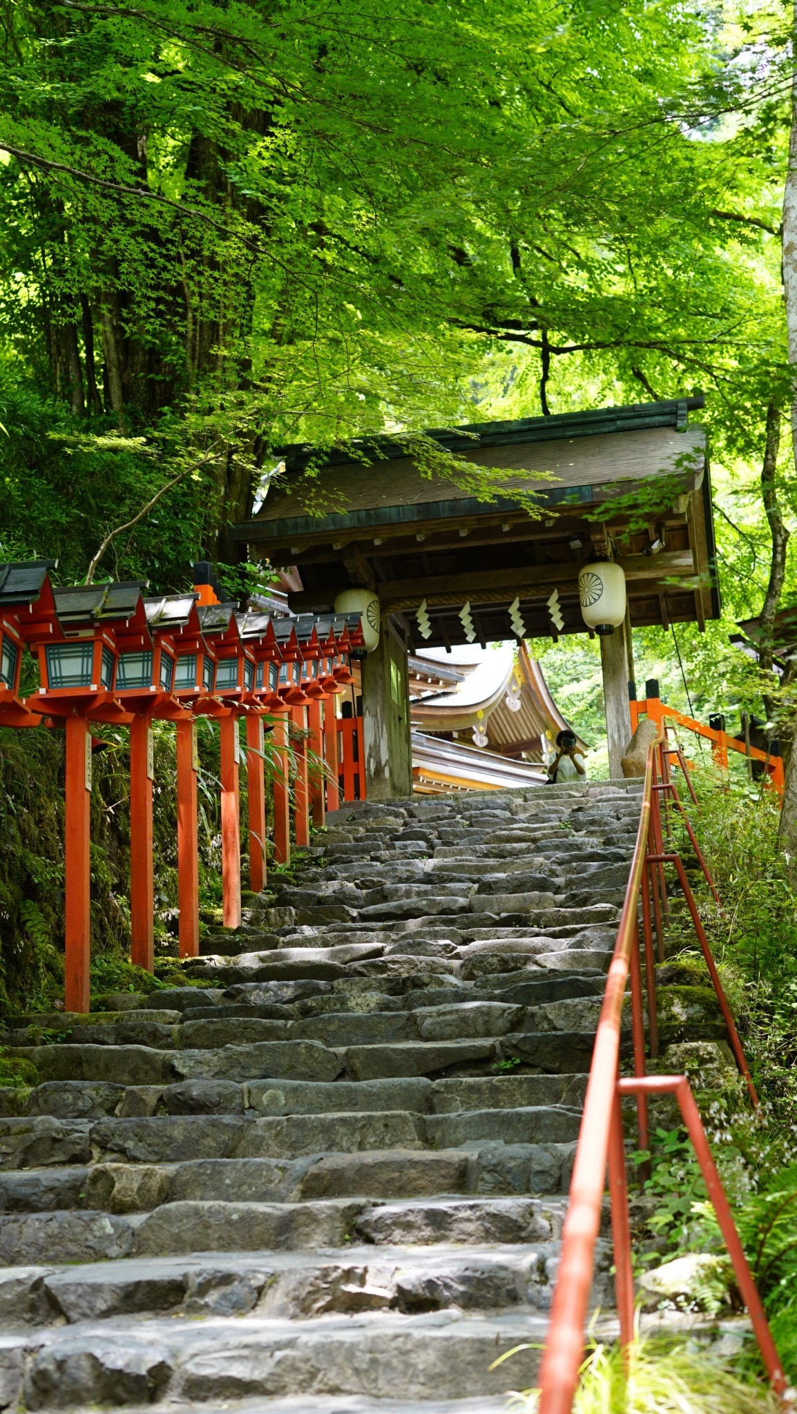 京都自助遊攻略