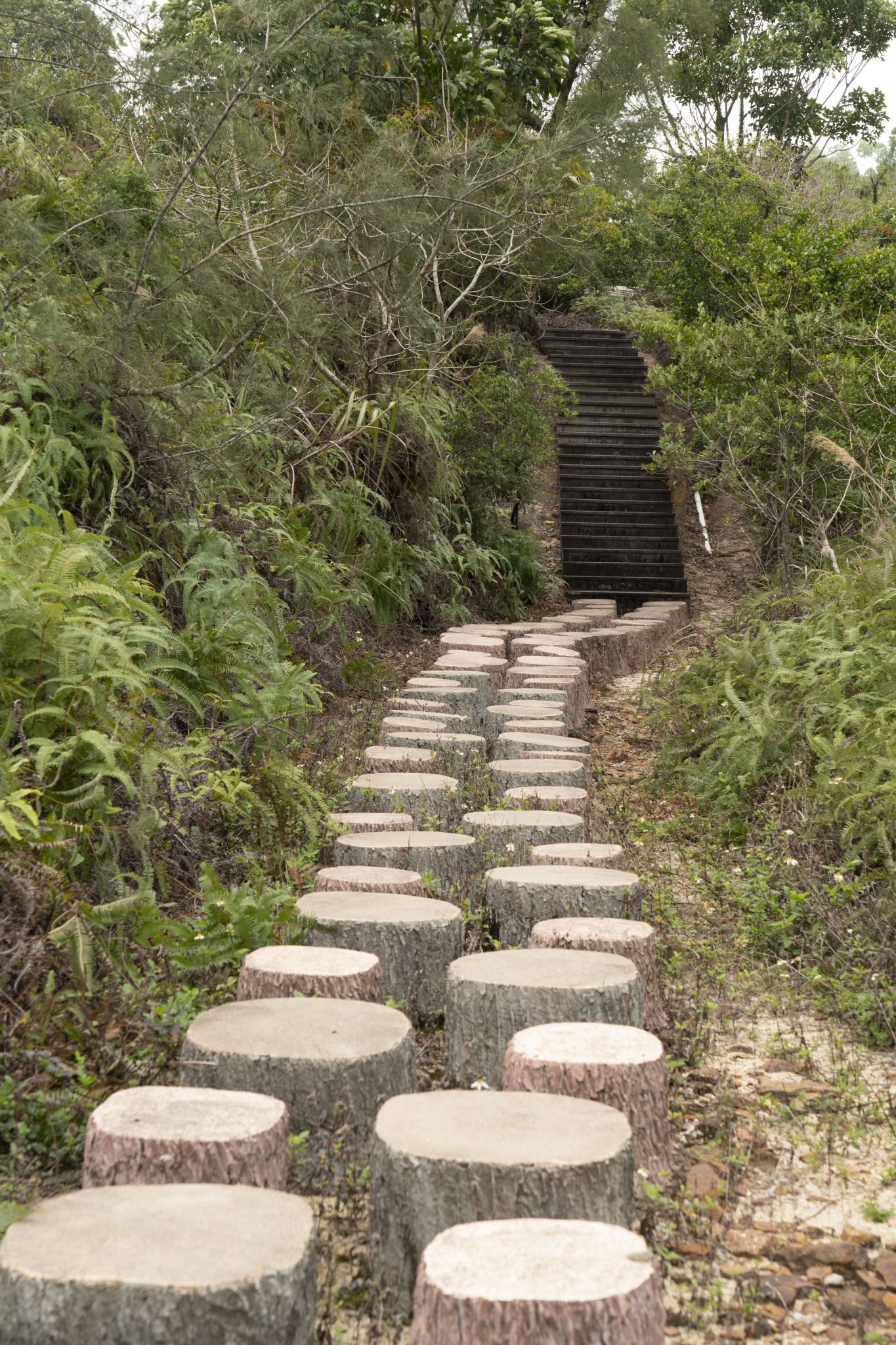 湛江市霞山区公园