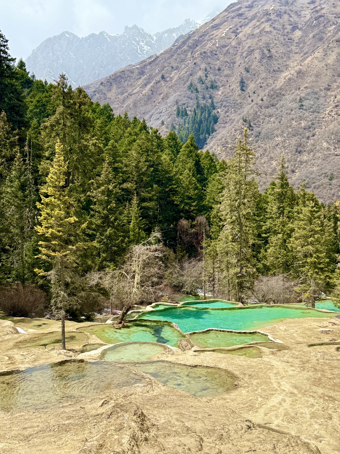 四川九寨沟黄龙成都八天七晚电车自驾深度游保姆级攻略