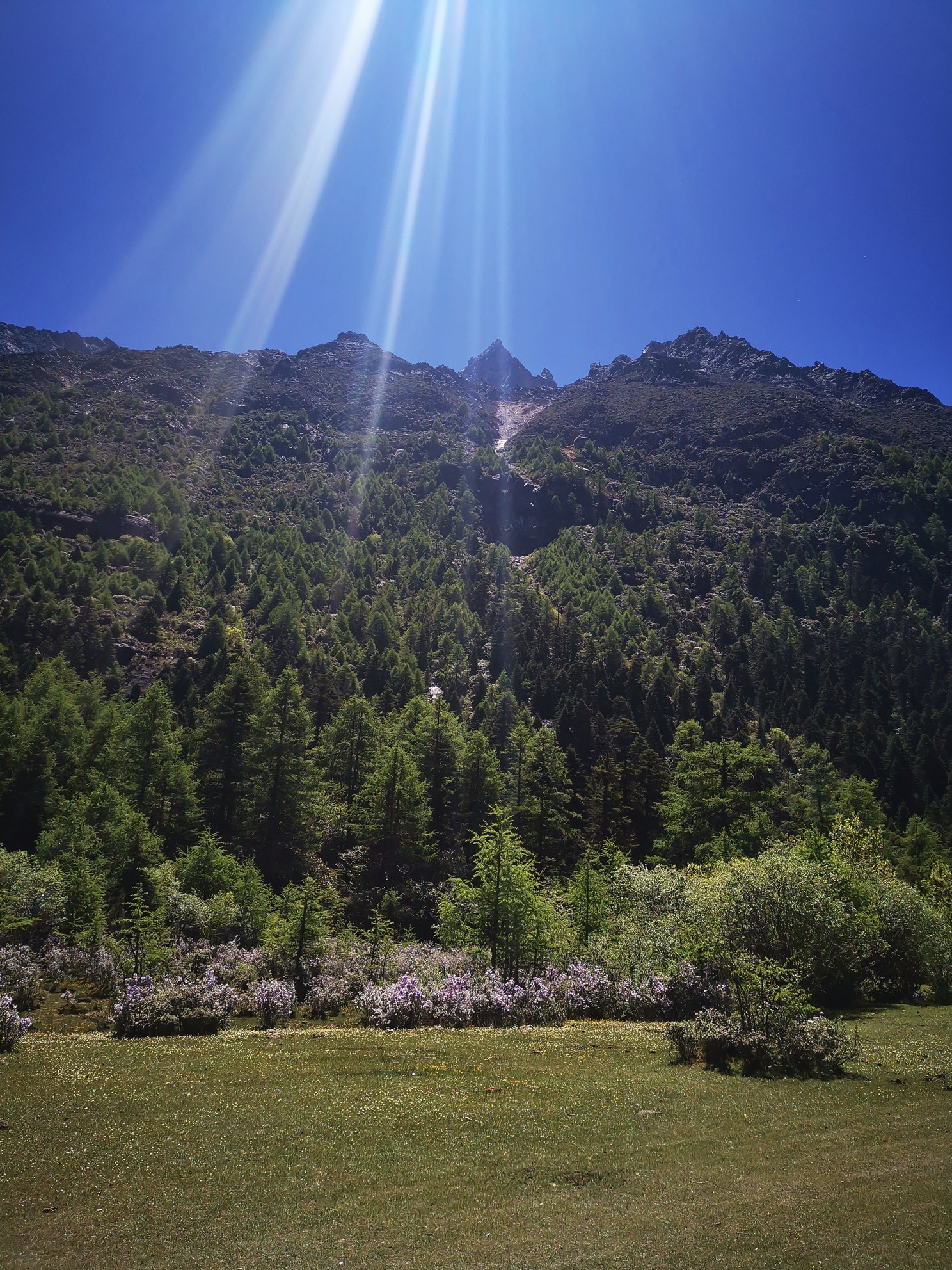 甲根坝莲花湖康定