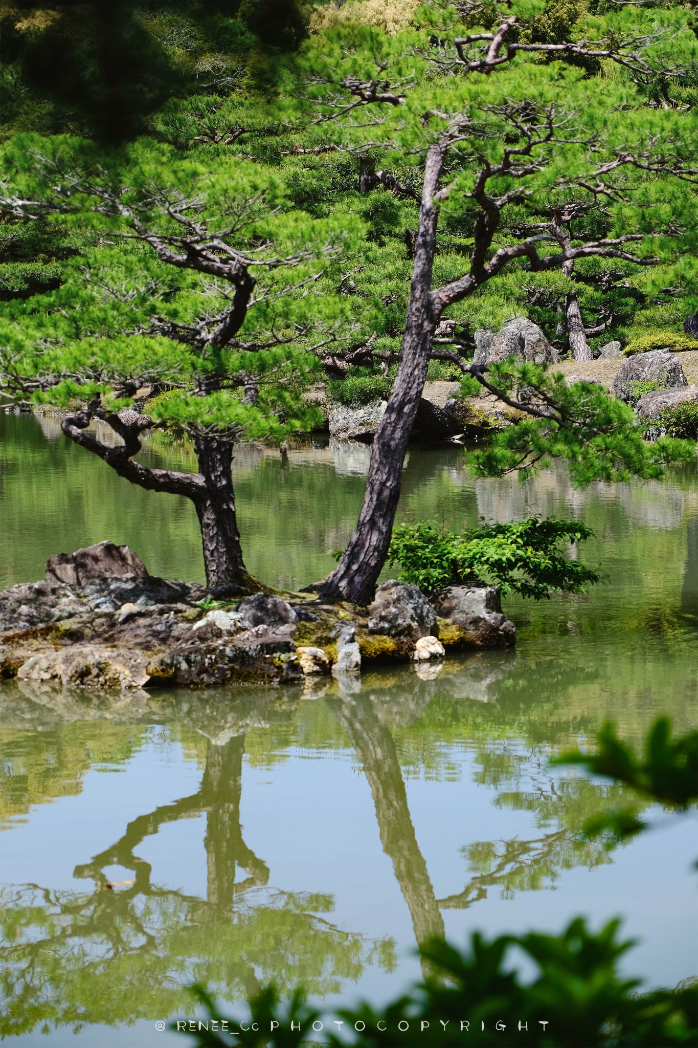 京都自助遊攻略