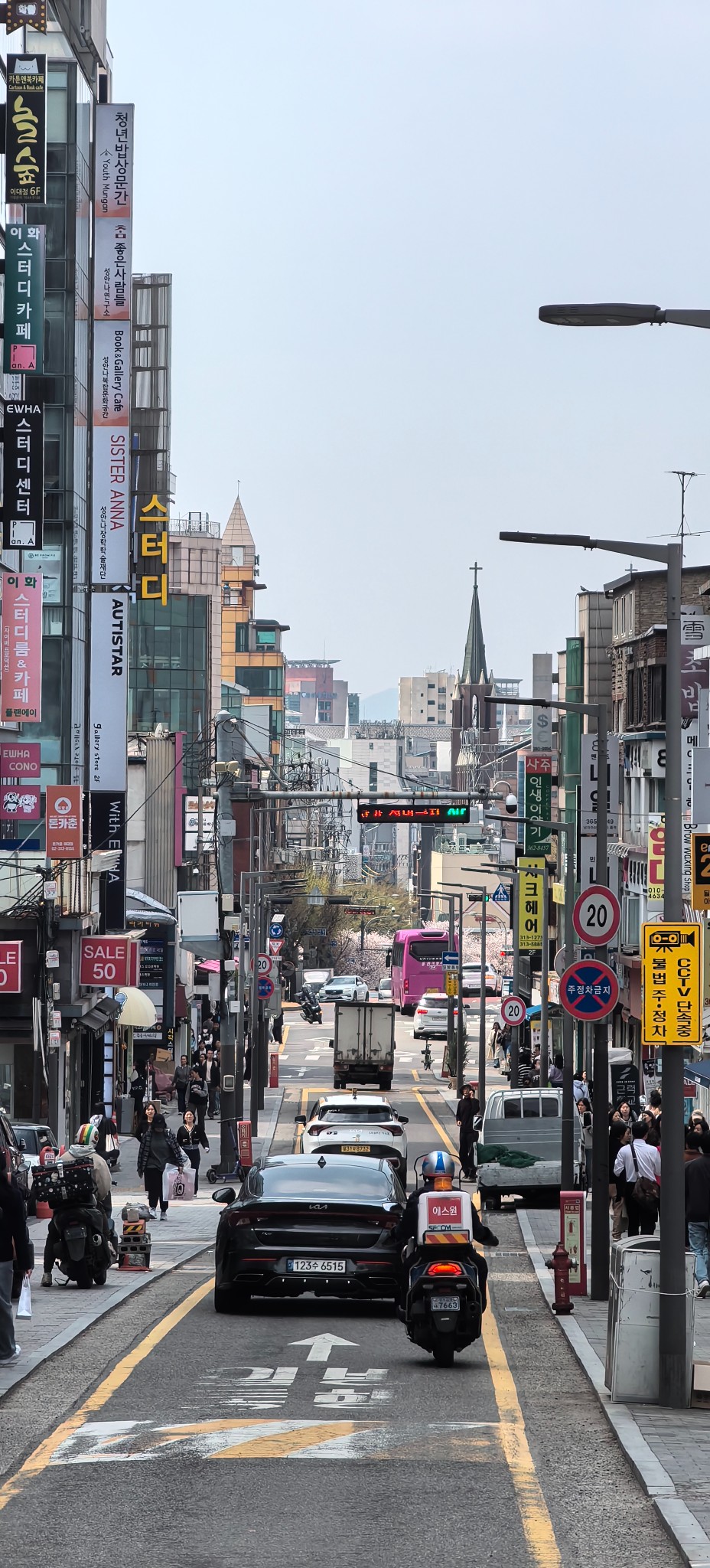 2024首尔釜山樱花季双人行图片