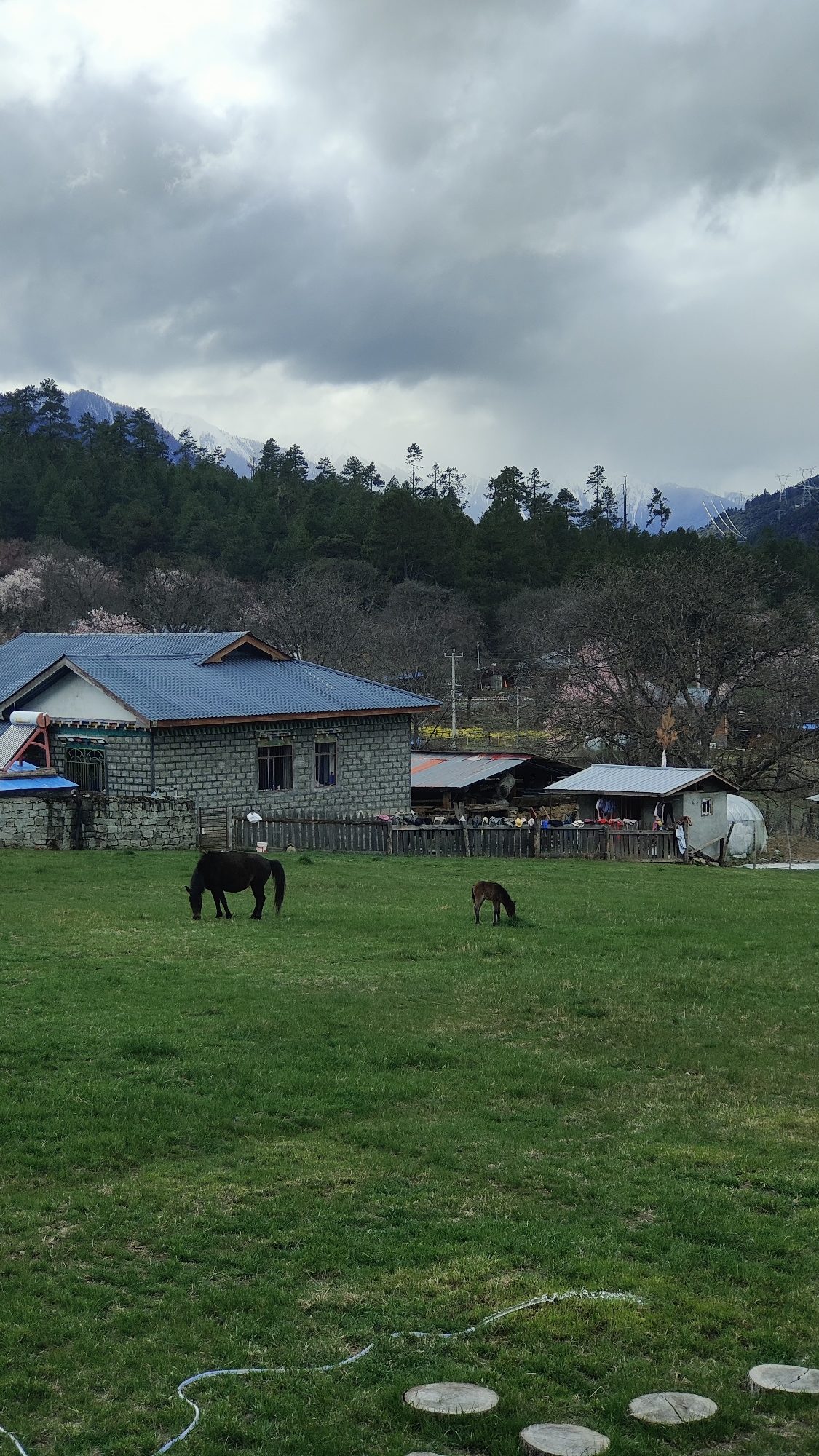 林芝自助遊攻略