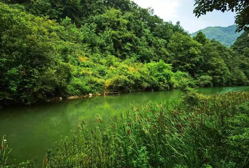 自駕陝南四日遊,漢中旅遊攻略 - 馬蜂窩