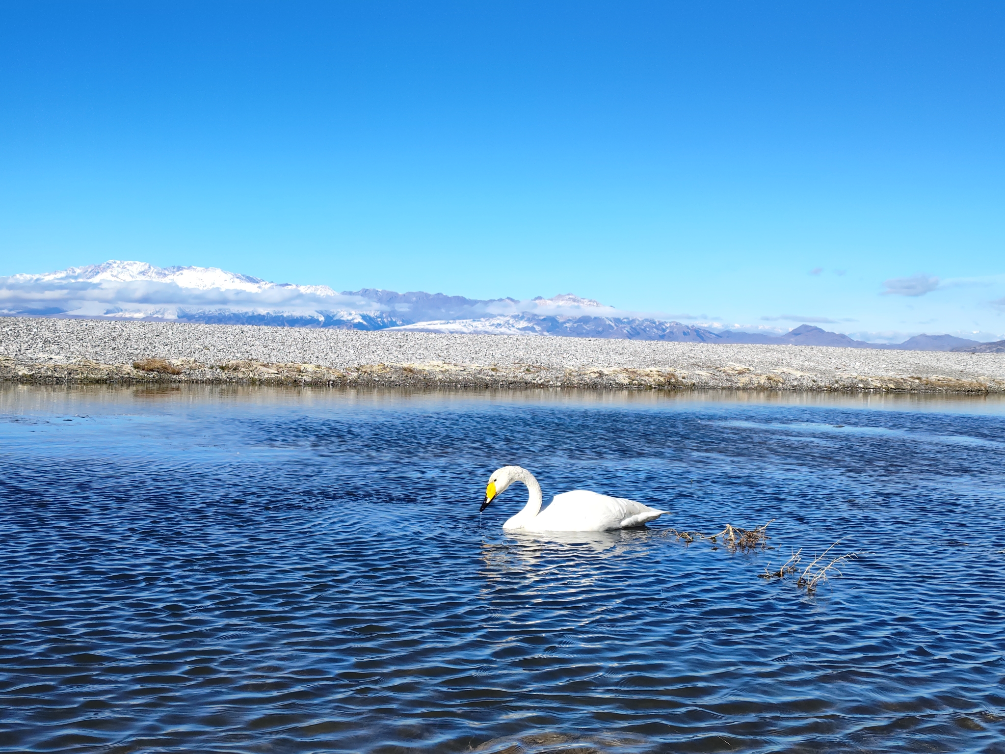 赛里木湖蓝,琼库什台绿——新疆的塞外江南!,伊犁自助游攻略 - 马蜂窝