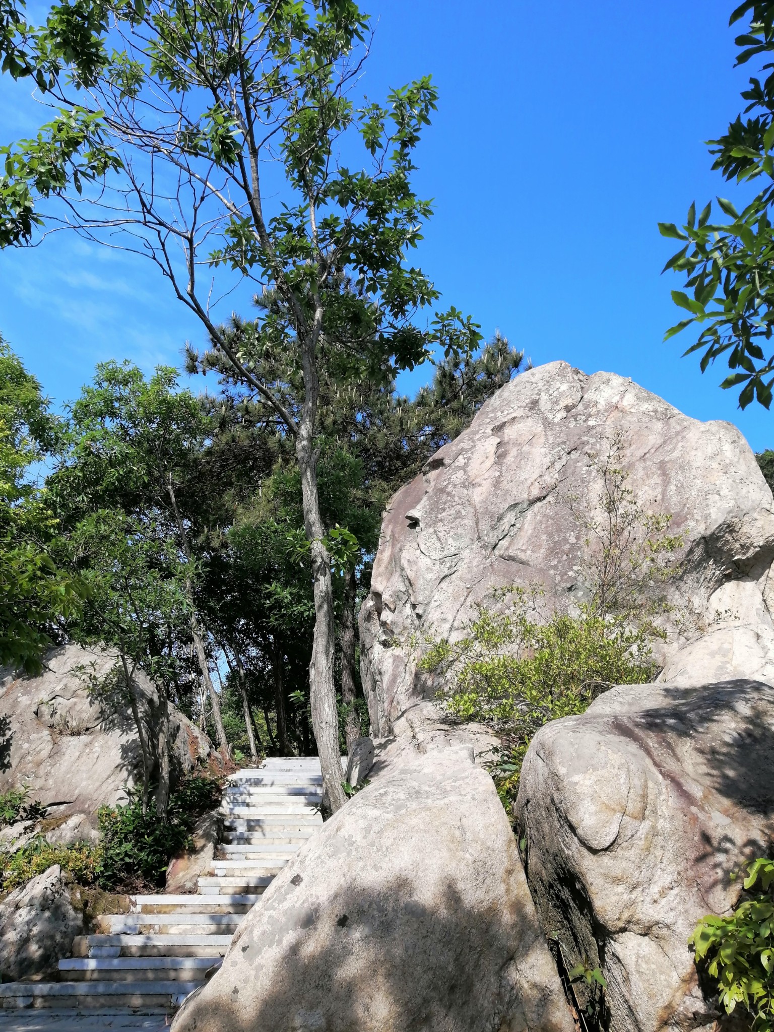 英山羊角尖山客游之一百五十七