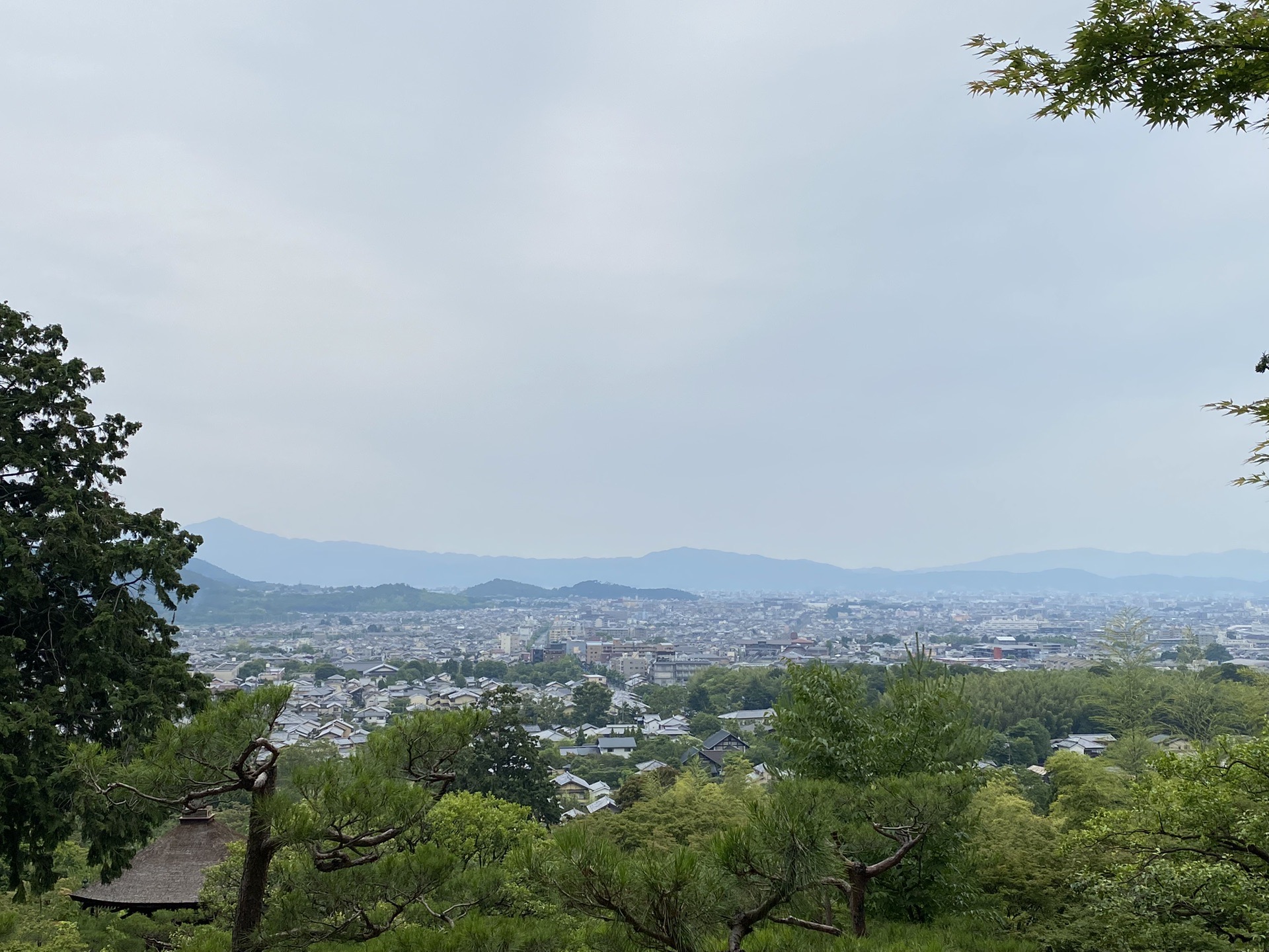 京都自助遊攻略