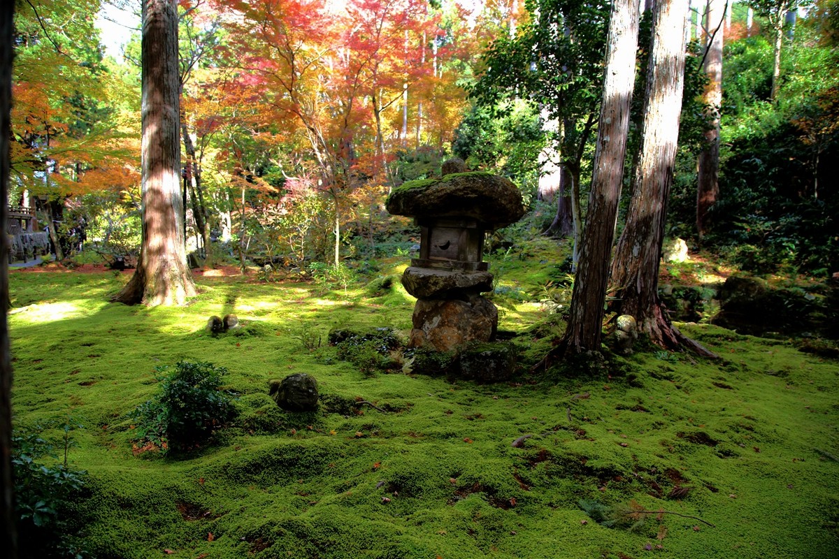 京都自助遊攻略