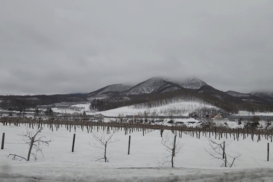 北海道自助遊攻略