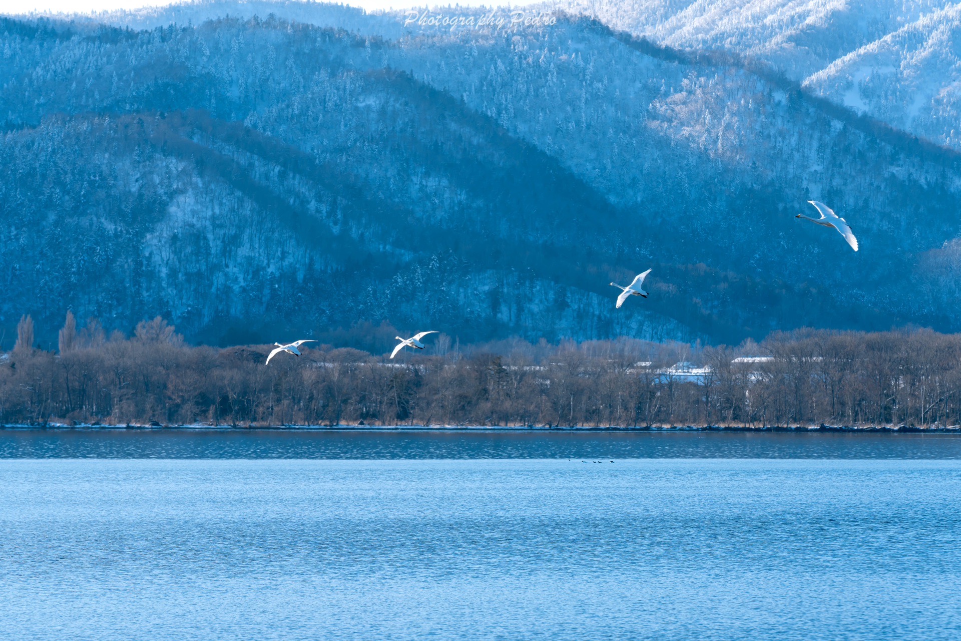 北海道自助遊攻略