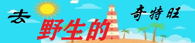 尼泊爾自助遊攻略