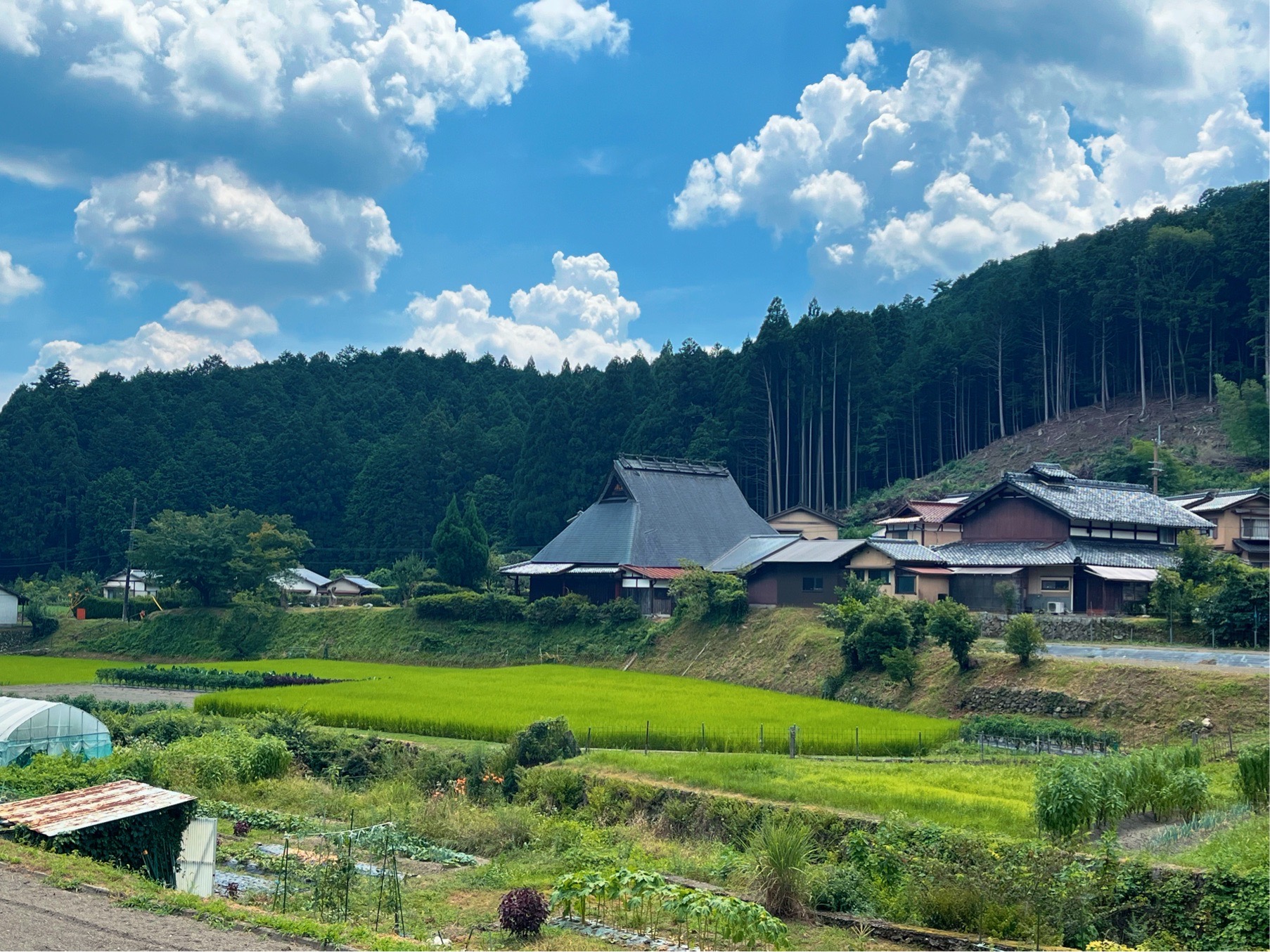 日本自助遊攻略