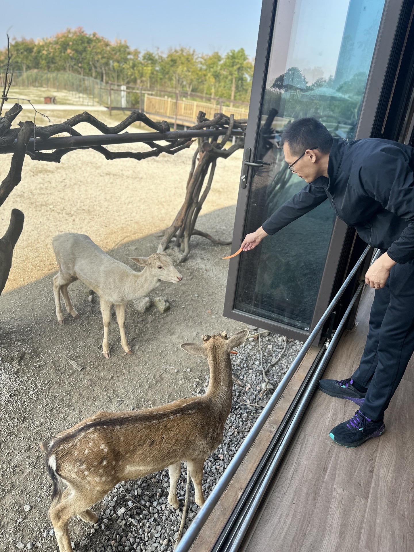 day4:南通森林野生动物园day3:余姚-南通